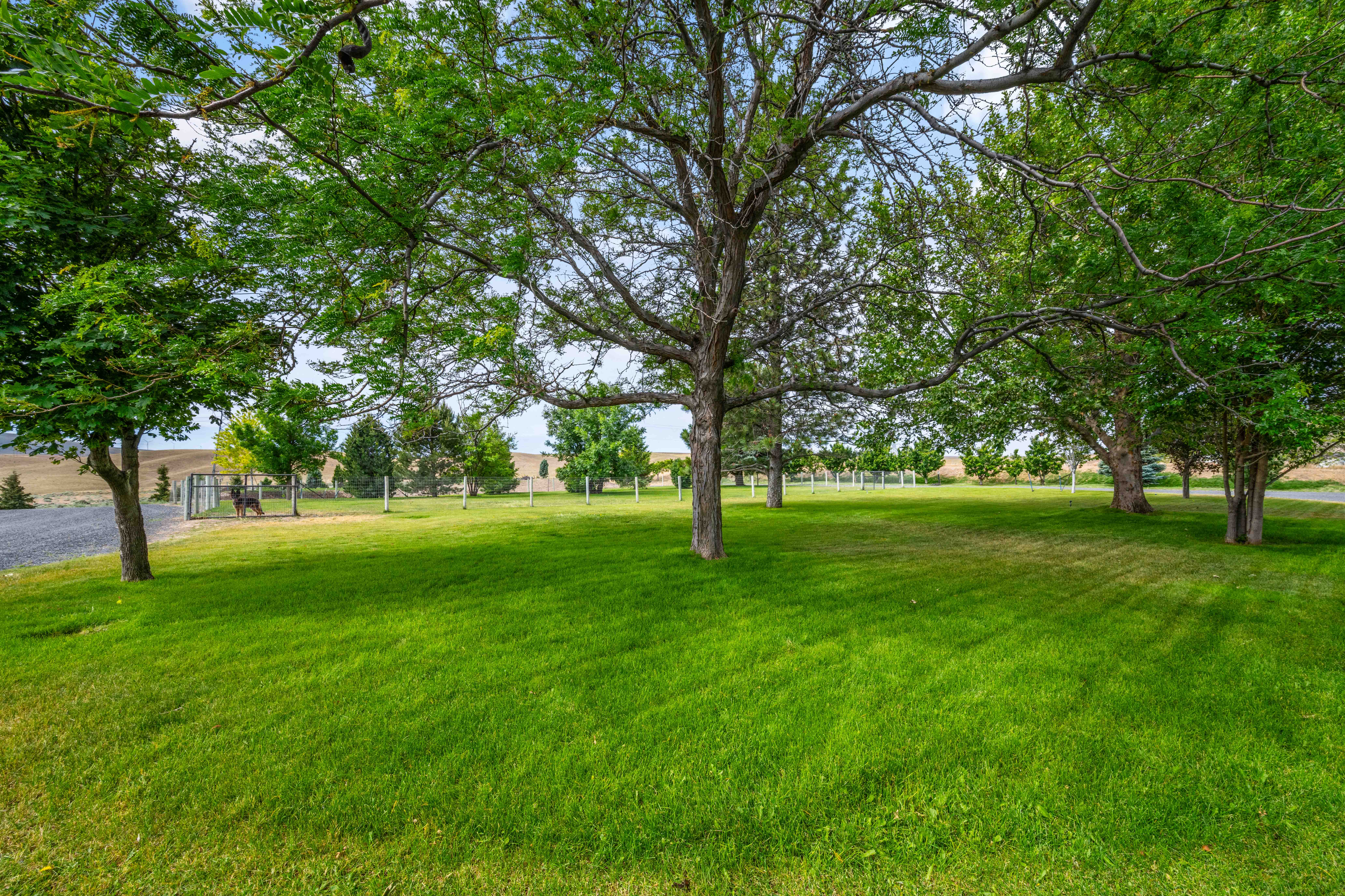  One of Kennewick’s Most Unique Estate Properties - 物件實景