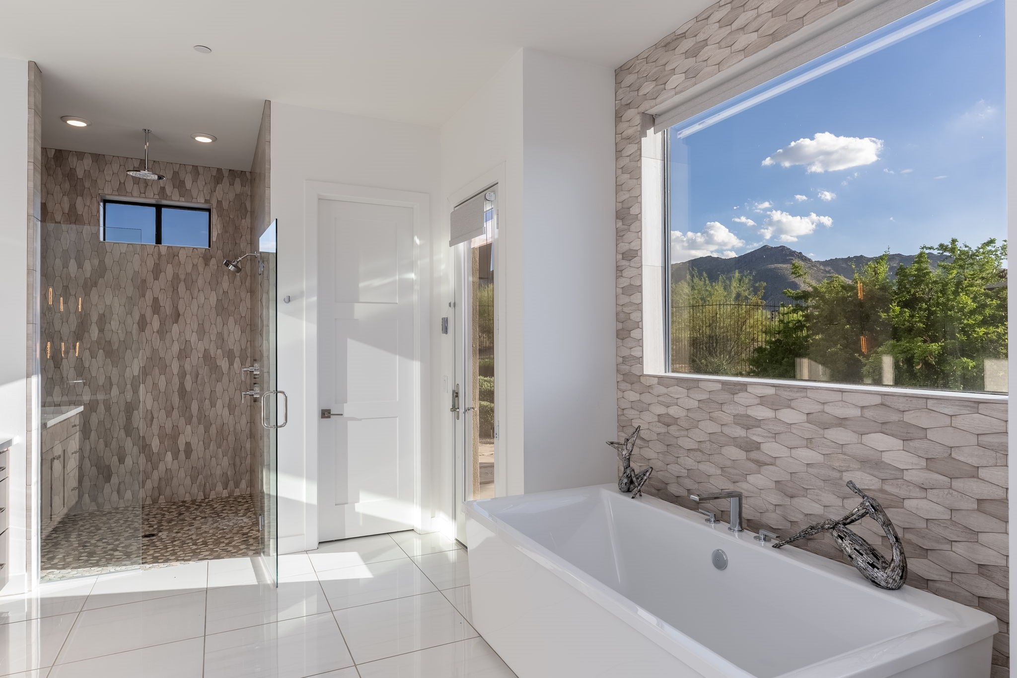 12423 E Desert Vista Dr  Scottsdale, AZ - 物件實景