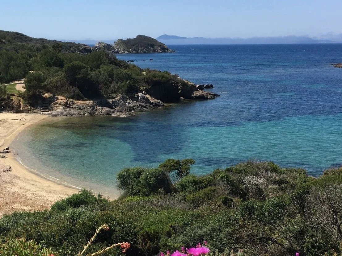 Hyères, Provence-Alpes-Côte d’Azur, 83400, FR, 5 Bedrooms Bedrooms, ,4 BathroomsBathrooms,Residential,For Sale,1627572