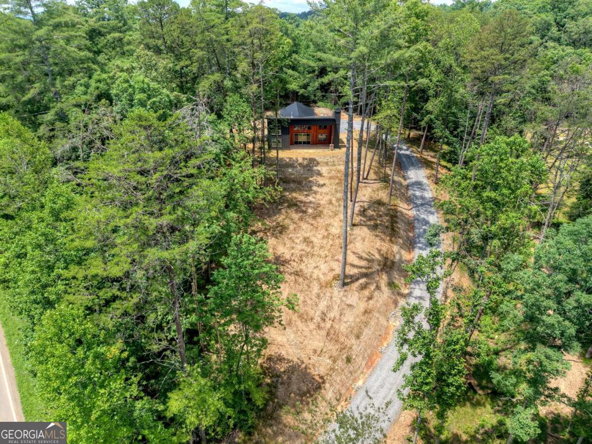 Mineral Bluff, Georgia, 30559, United States, 3 Bedrooms Bedrooms, ,3 BathroomsBathrooms,Residential,For Sale,2008232