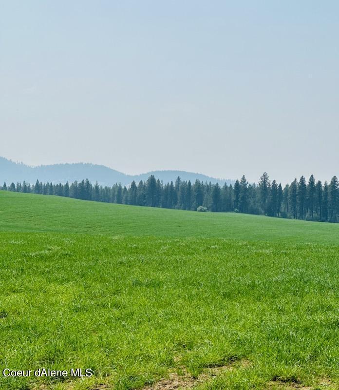 Worley, Idaho, 83876, United States, ,Land,For Sale,1981109
