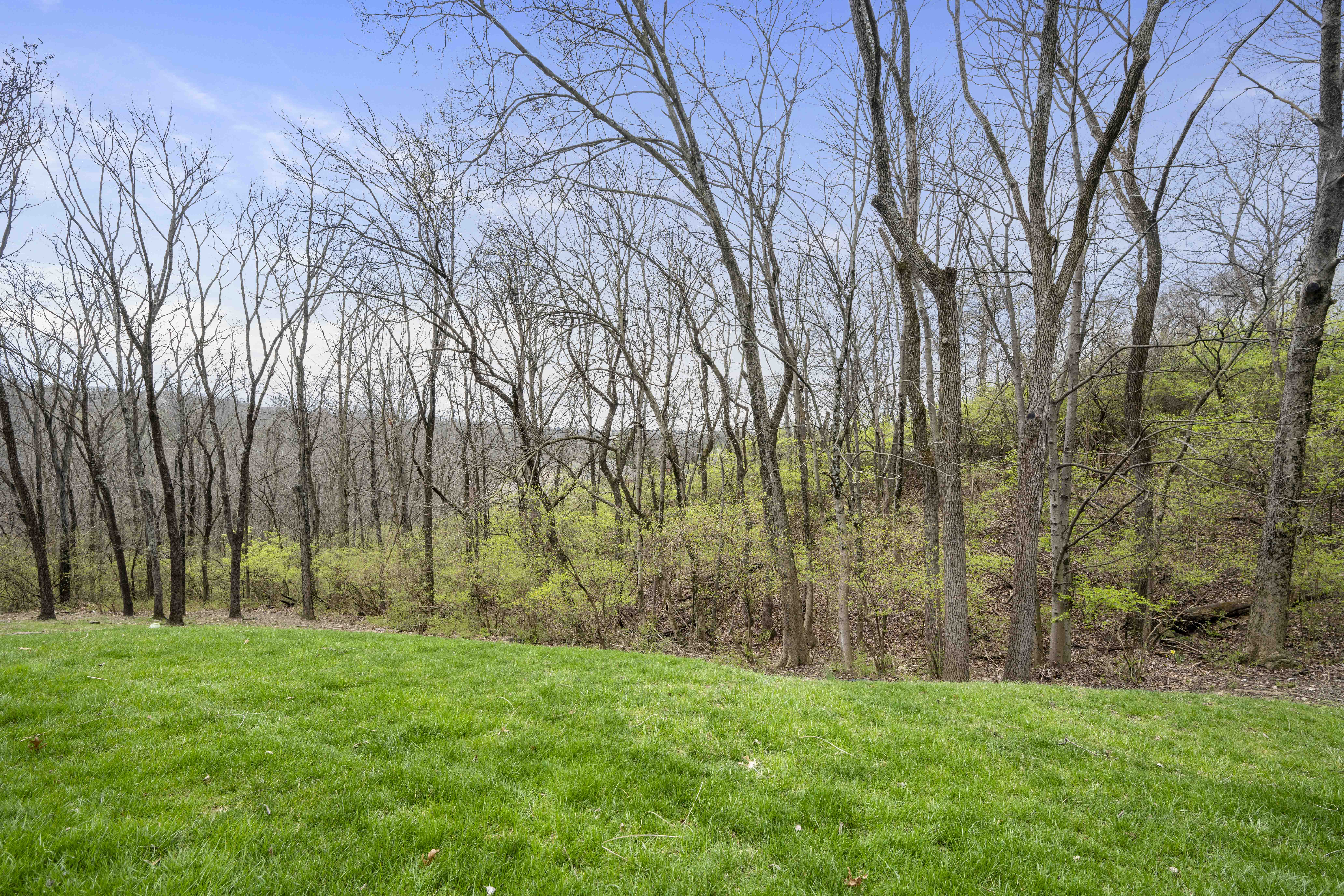  2041 Edenderry Drive, Fort Mitchell, KY 41017 - 物件實景