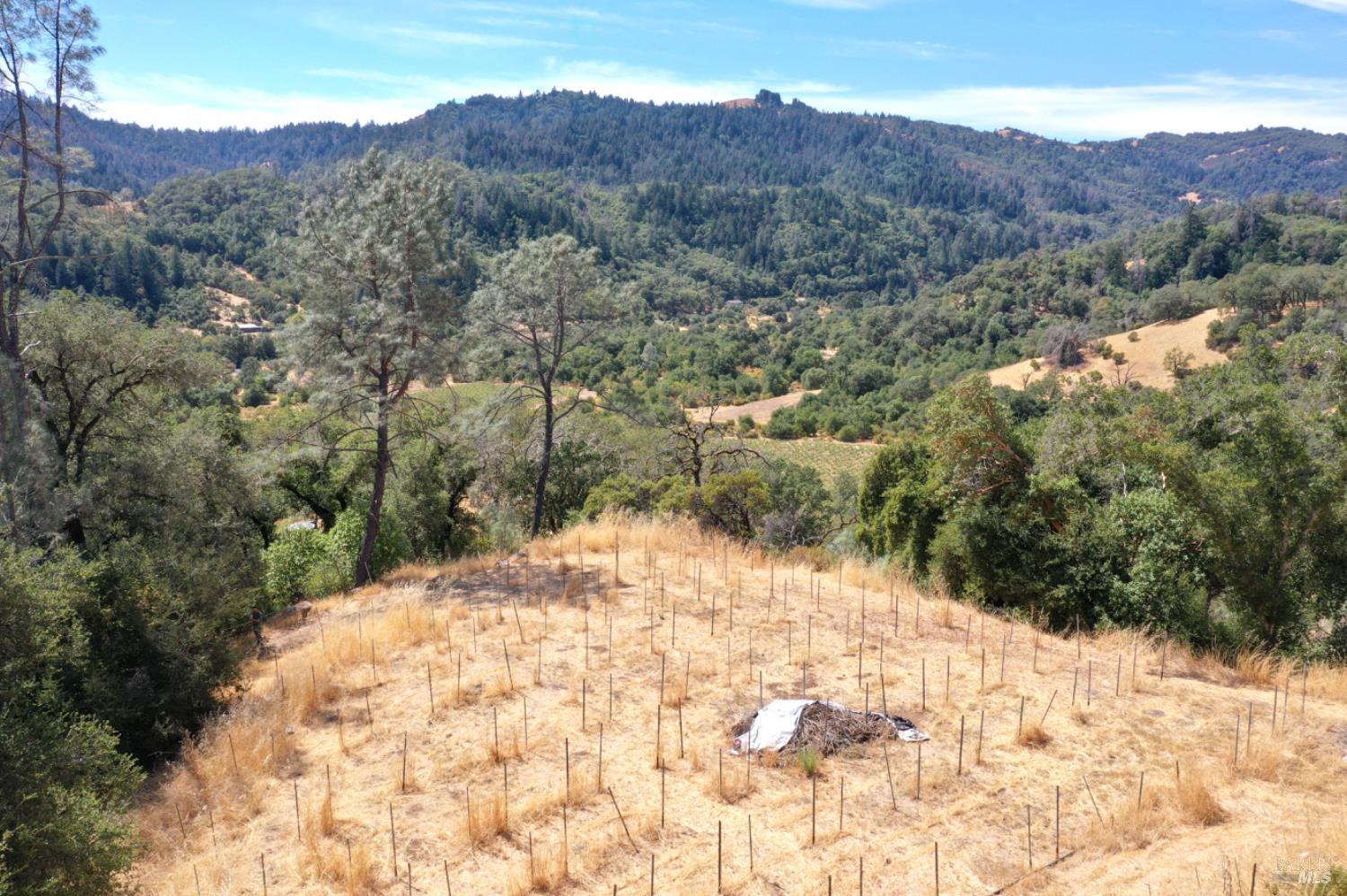 Cloverdale, California, 95425, United States, 3 Bedrooms Bedrooms, ,4 BathroomsBathrooms,Residential,For Sale,1941601