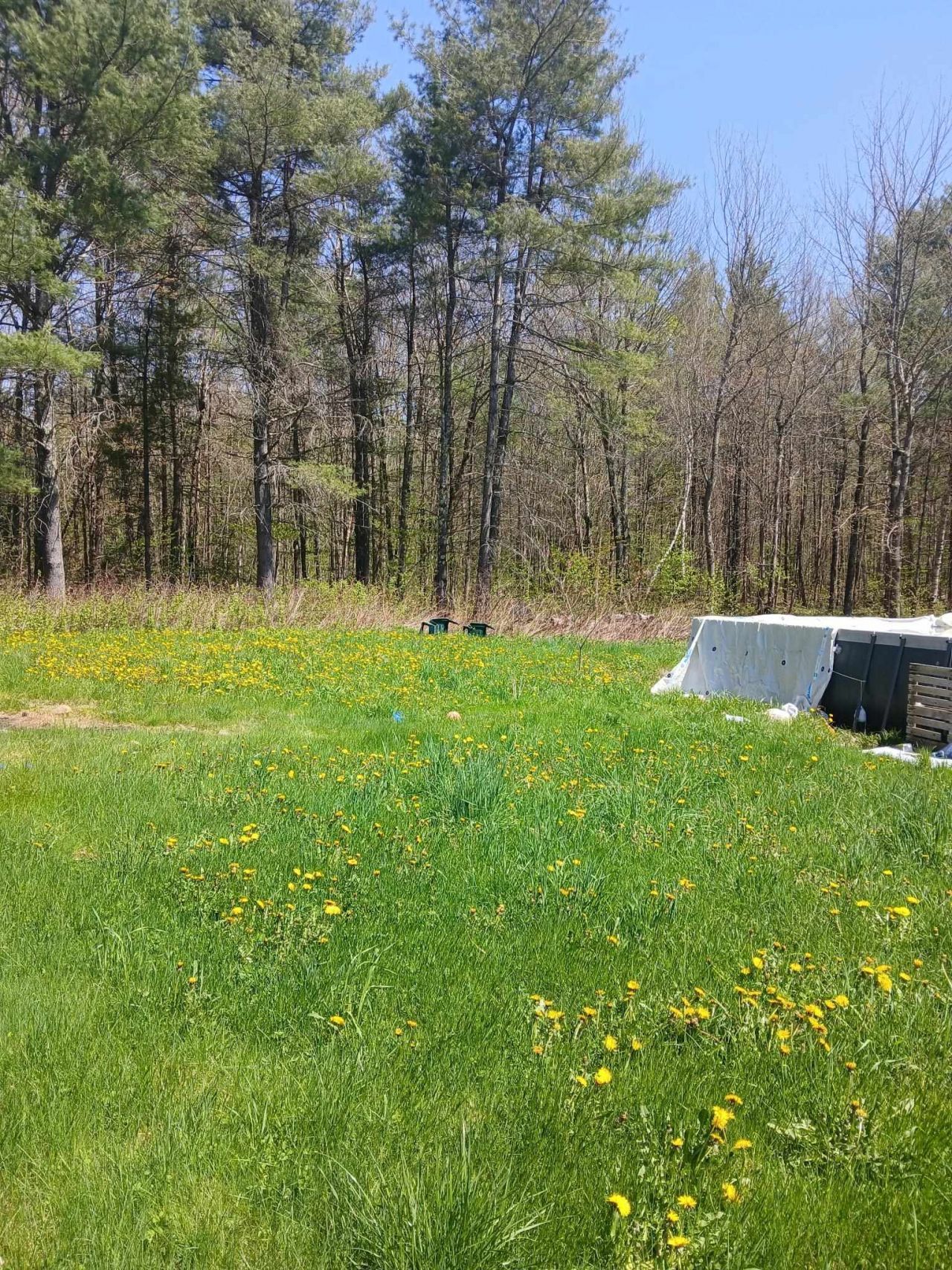 Marlow Hill Rd, Marlow, NH 03456 #1
