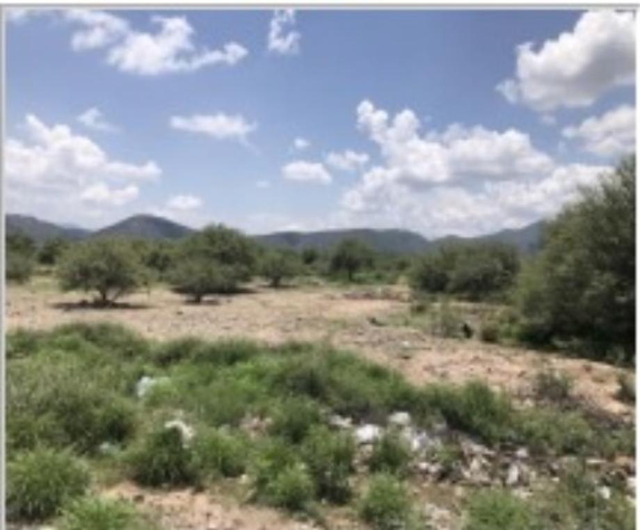 Parcela, Lerdo, Durango, 35159, Mexico, 1 Bedroom Bedrooms, ,Residential,For Sale,Parcela,1624565