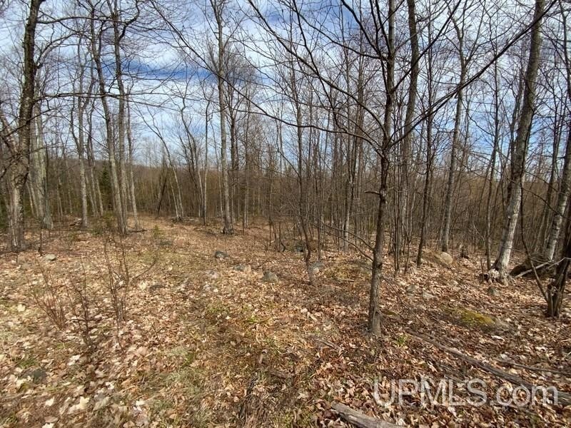 TBD W US 41, Marquette, Michigan, 49855, United States, ,Residential,For Sale,TBD W US 41,1601608