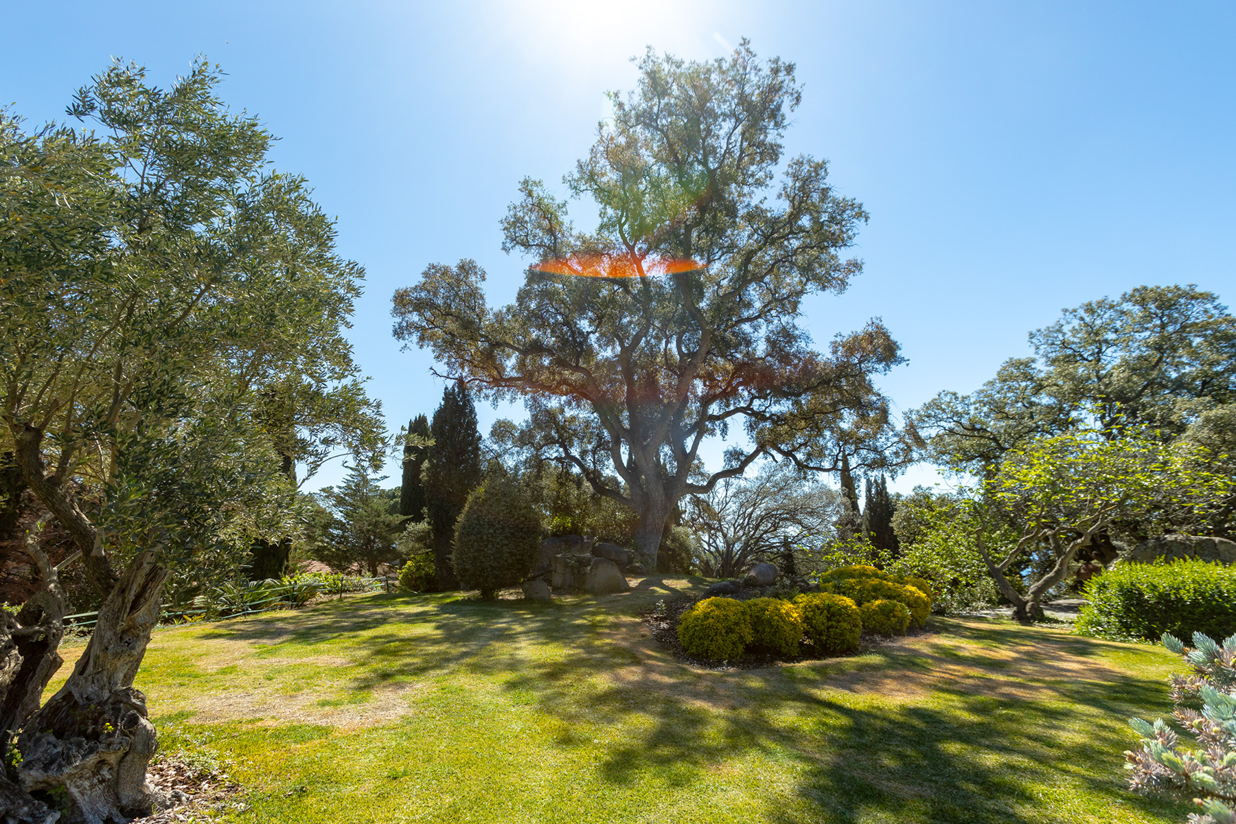  Unique and exceptional farmhouse in Supermaresme, Barcelona - 物件實景