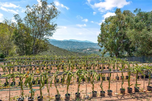 Fallbrook, California, 92028, United States, 2 Bedrooms Bedrooms, ,3 BathroomsBathrooms,Residential,For Sale,1979251