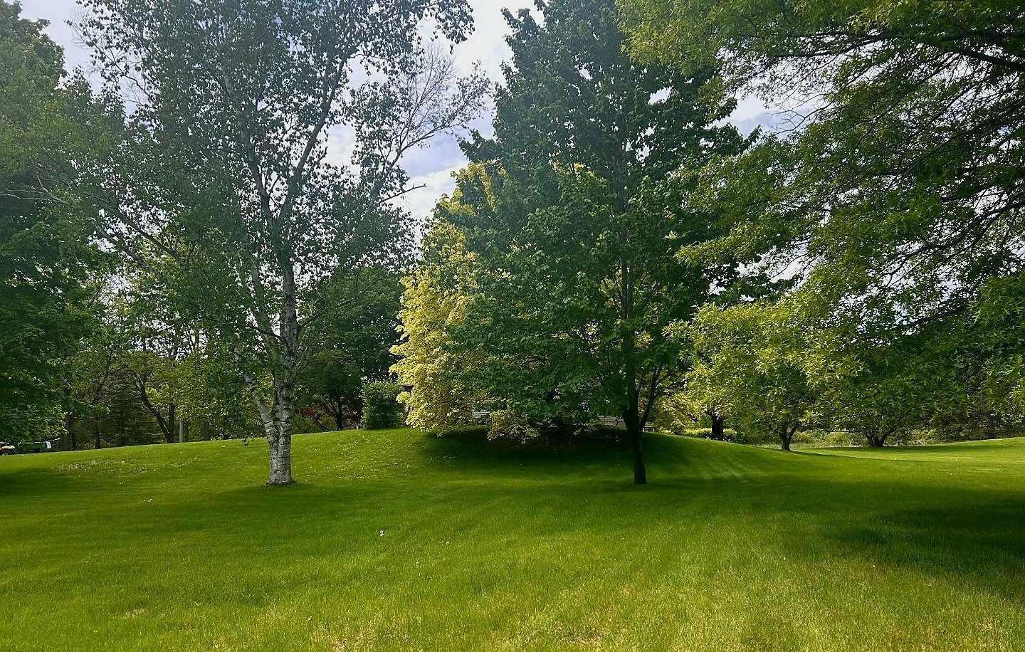 Ramsey, Minnesota, 55303, United States, 4 Bedrooms Bedrooms, ,1 BathroomBathrooms,Residential,For Sale,1743651