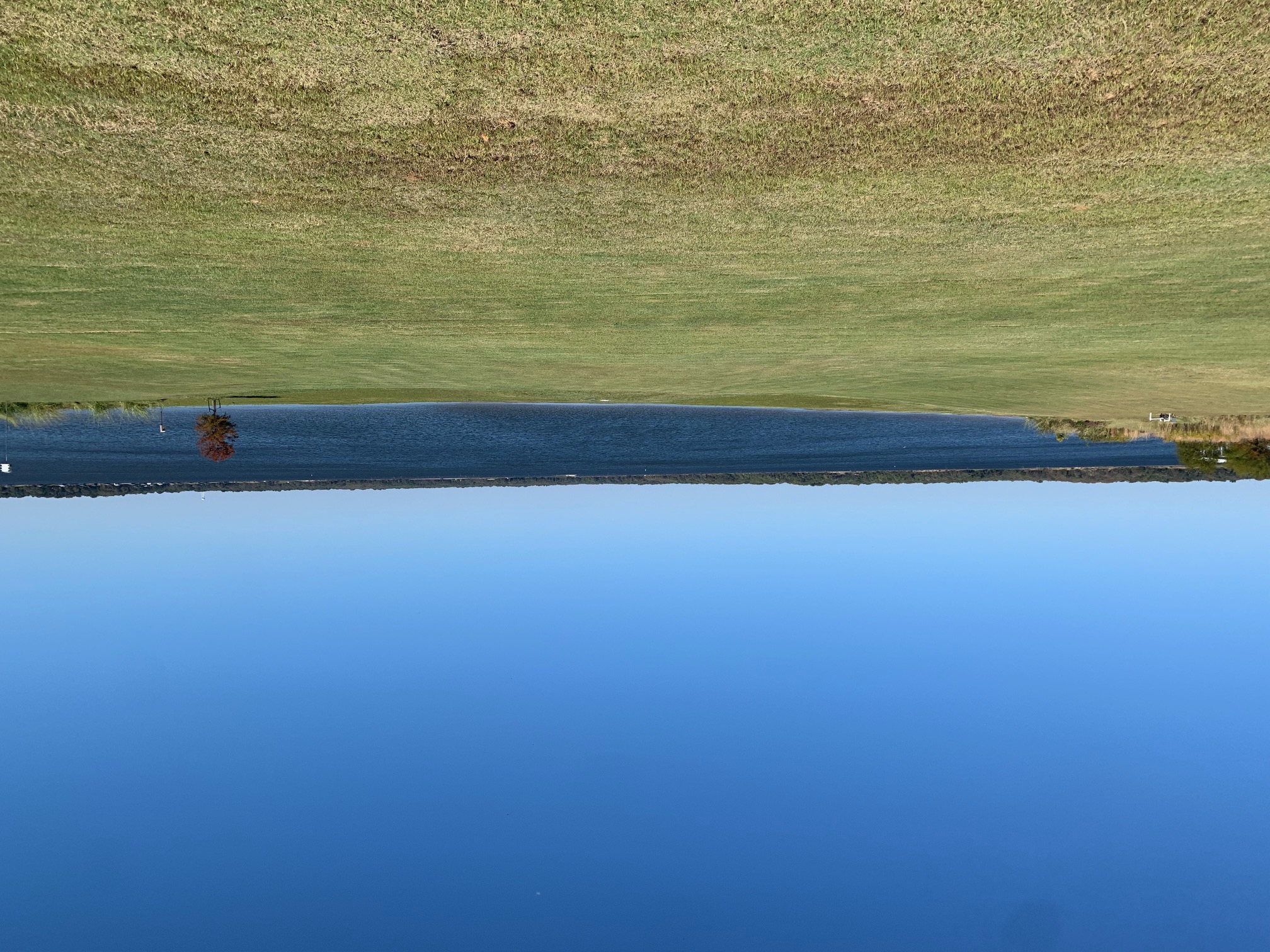 Emory, Texas, 75440, United States, ,Land,For Sale,1982533