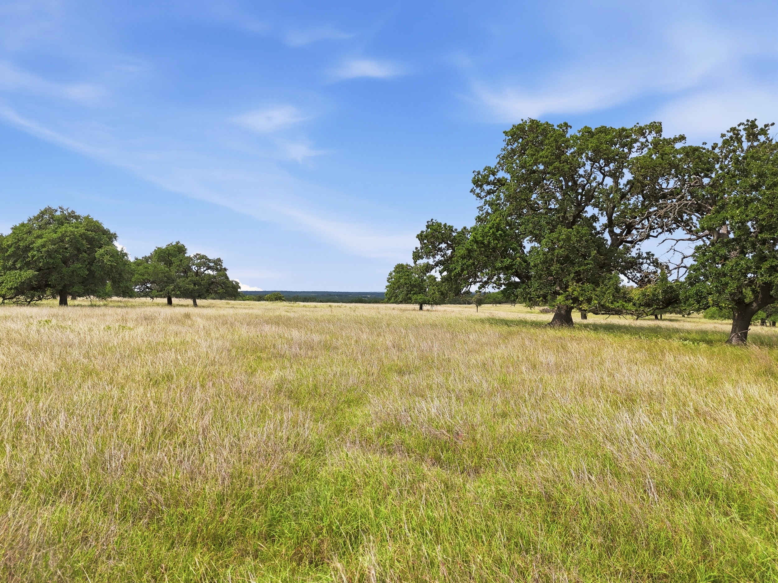  CavaLoma Ranch in Kerr COunty - 物件實景
