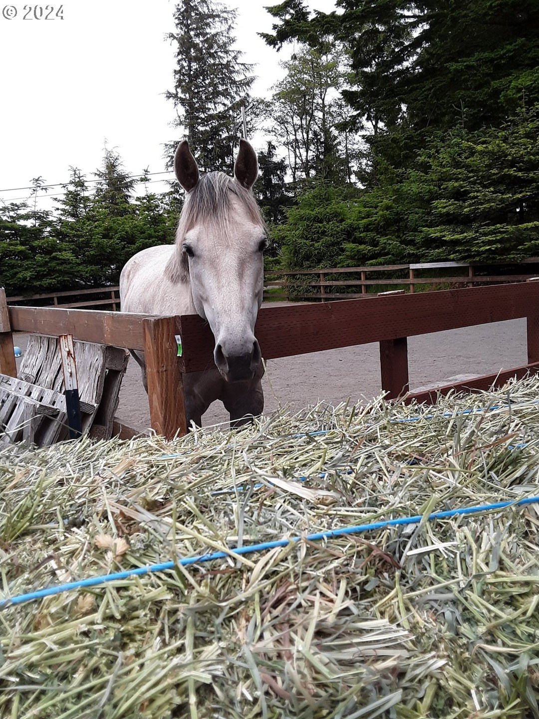 Gold Beach, Oregon, 97444, United States, 3 Bedrooms Bedrooms, ,3 BathroomsBathrooms,Residential,For Sale,1975085