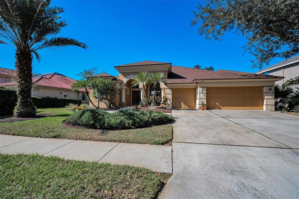 Palm Harbor, Florida, 34685, United States, 4 Bedrooms Bedrooms, ,3 BathroomsBathrooms,Residential,For Sale,1987675