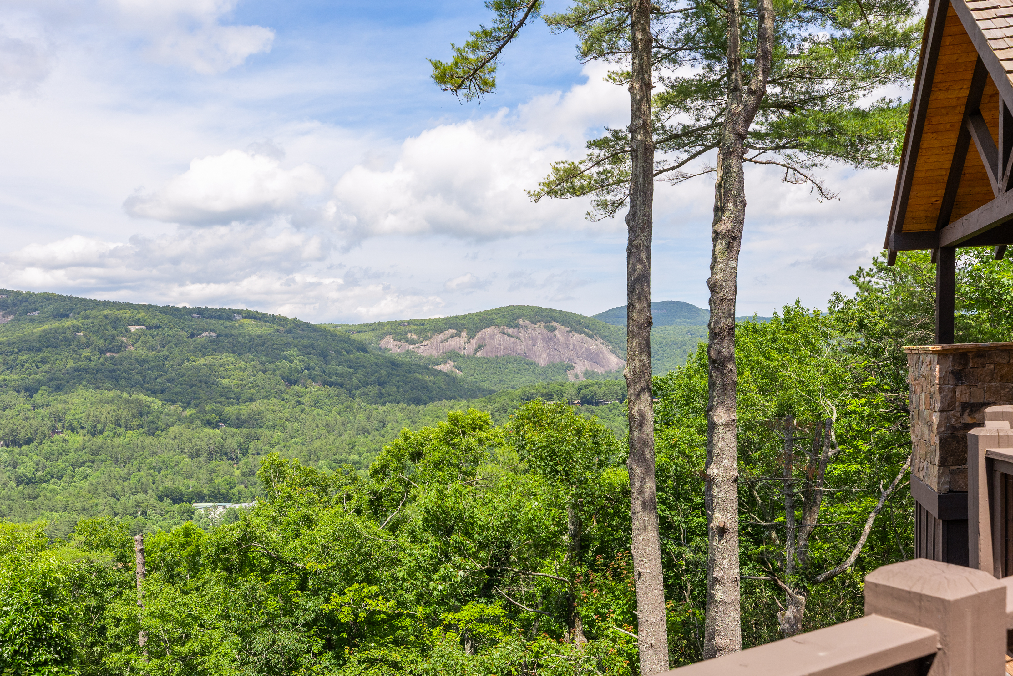  343 Ledgeview Road, Cedar Hill - 物件實景