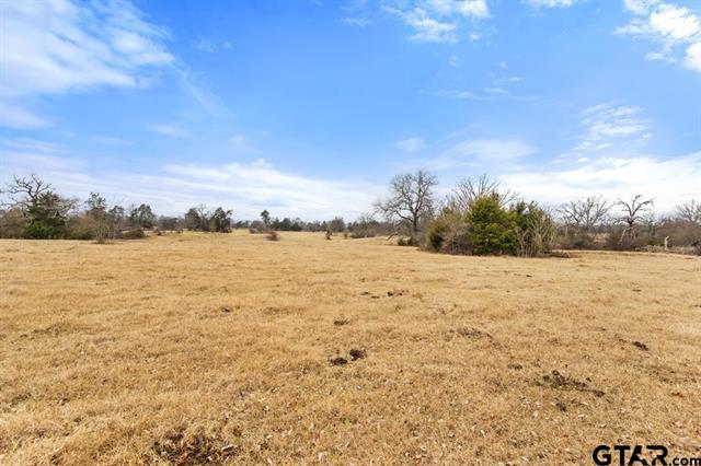 Van, Texas, 75790, United States, ,Land,For Sale,1981017