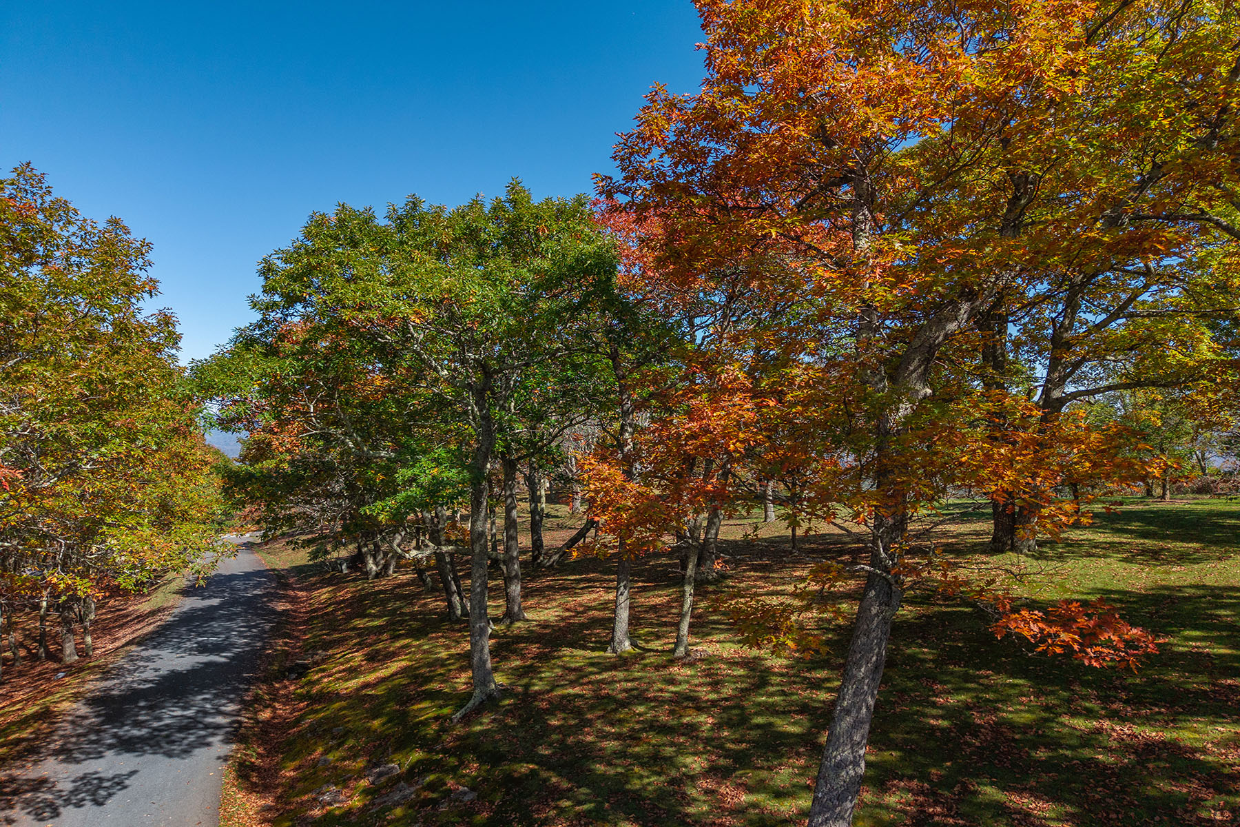  BANNER ELK - ROCKY KNOB - 物件實景