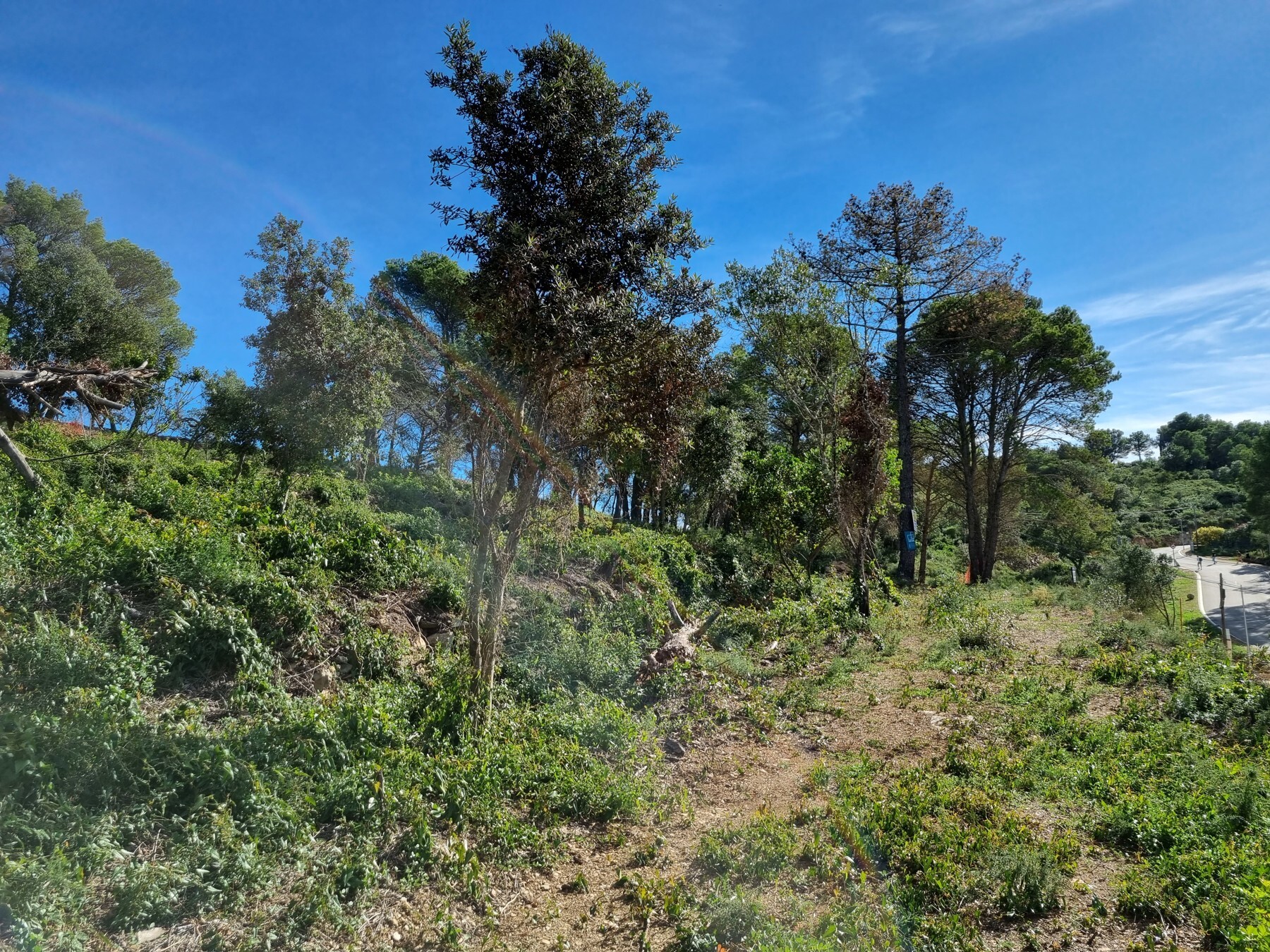  Fantastic south facing plot in the village of Begur - 物件實景