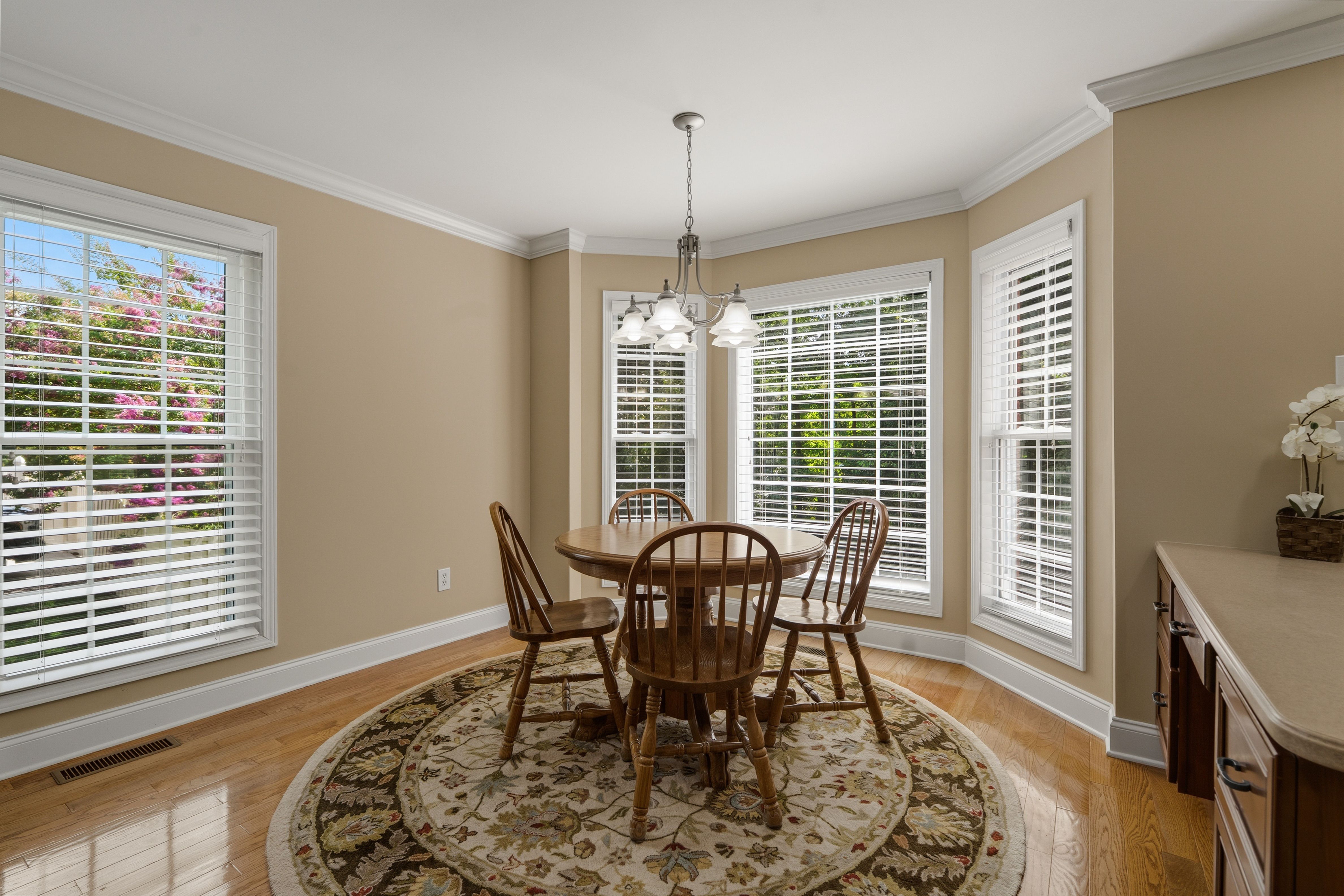  10422 Meadow Ridges Lane, Knoxville, TN 37922 - 物件實景