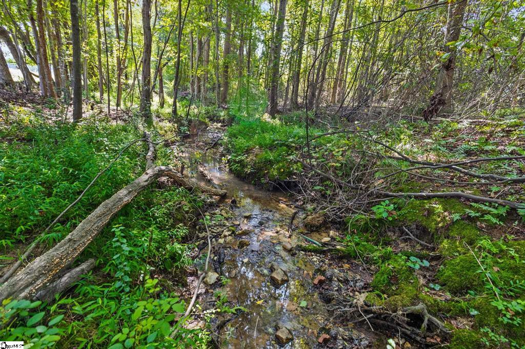 Piedmont, South Carolina, 29673, United States, ,Land,For Sale,1925219