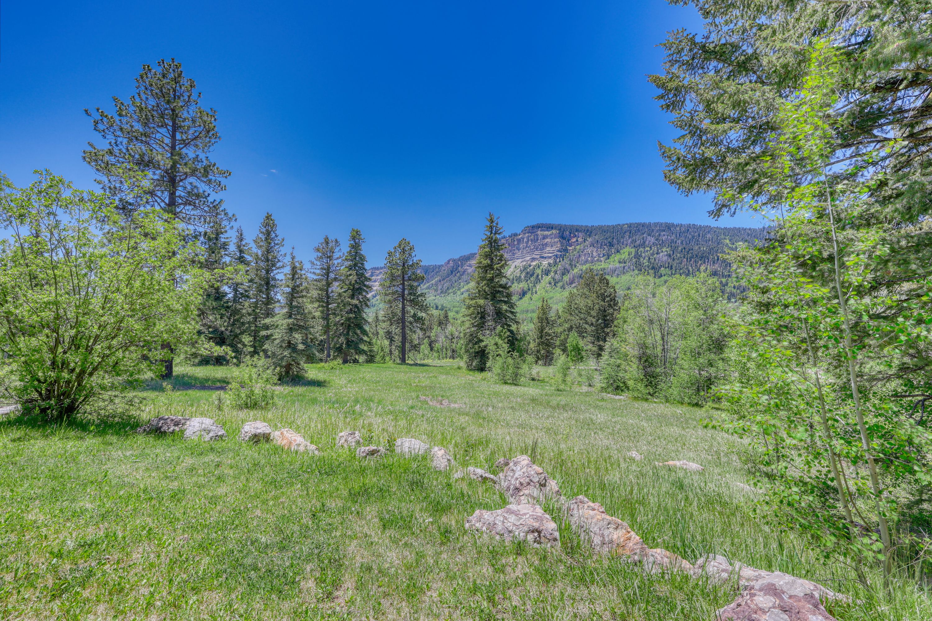  455 Pinnacle View Drive, Durango, CO 81301 - 物件實景