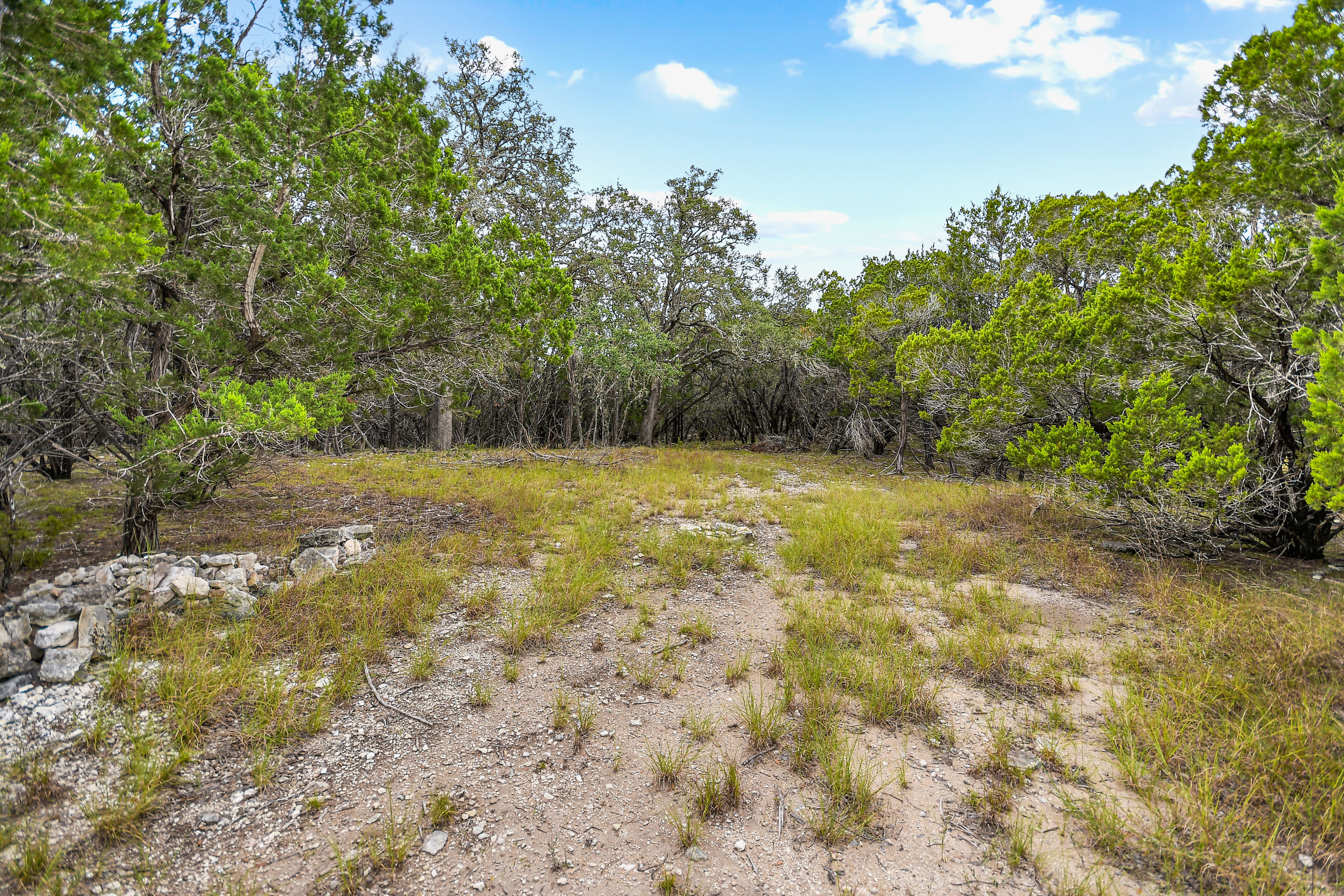  TBD Hwy 46 / Madrona Ranch Road, Pipe Creek, TX 78063 - 物件實景