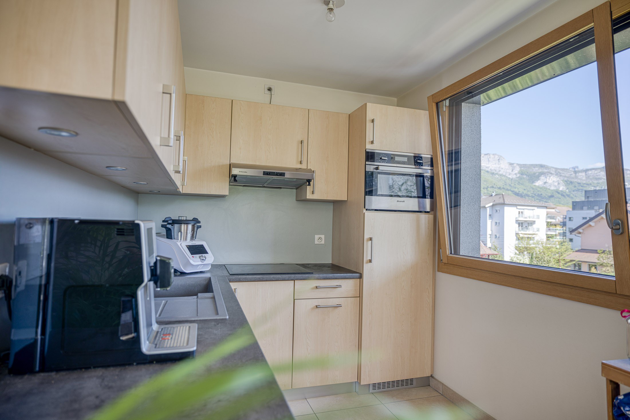  Bright apartment in the heart of Annecy with mountain views - 物件實景