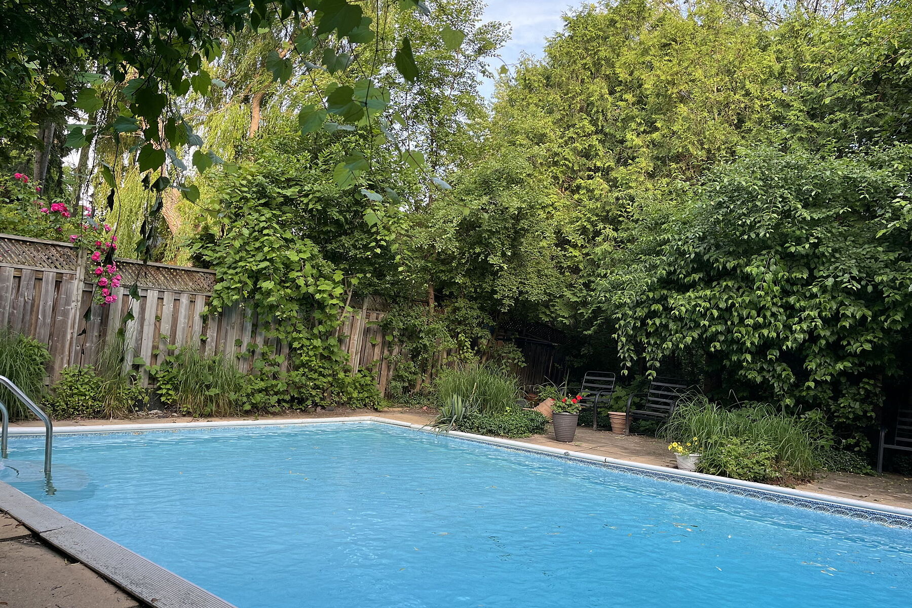  25 Sawley Dr - 物件實景