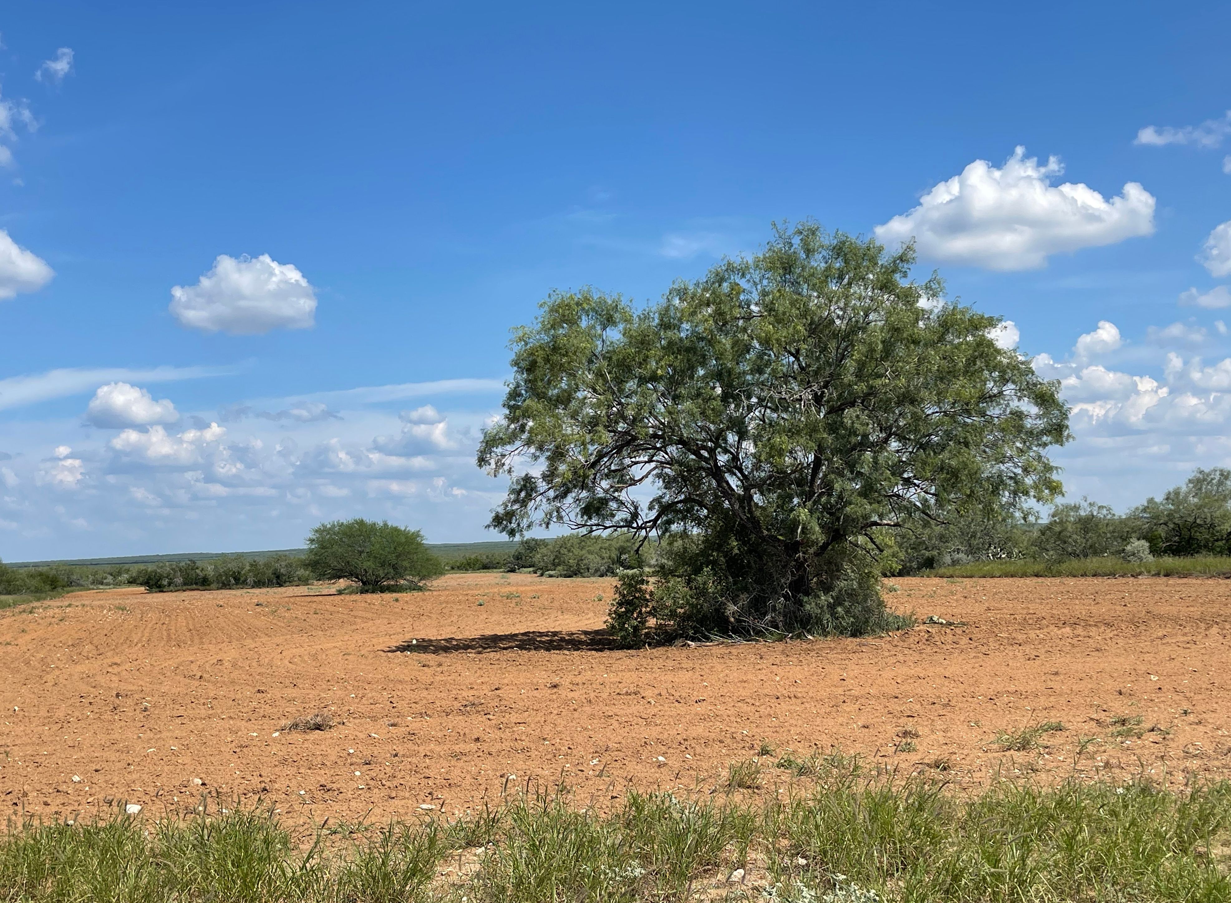  Historic El Tecomate Hunting Ranch - 物件實景