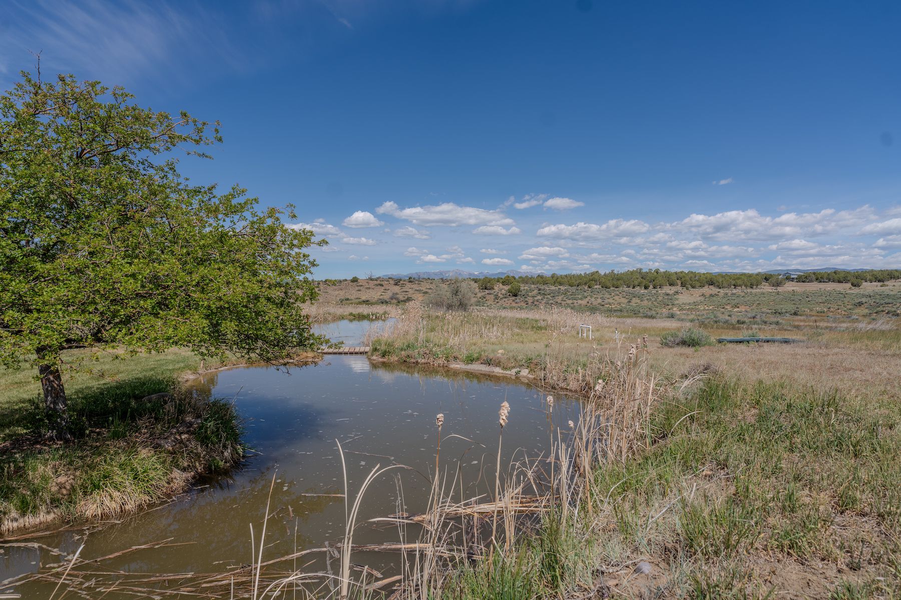  2355 County Road 513, Durango, CO 81301 - 物件實景