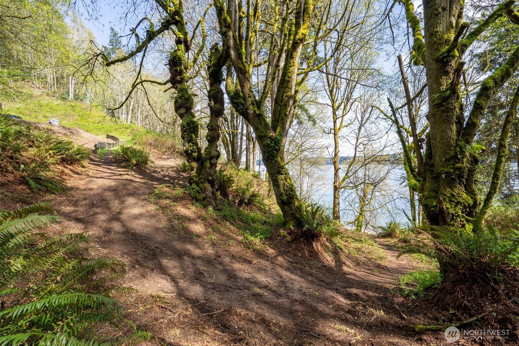 Port Orchard, Washington, 98367, United States, ,Land,For Sale,1767401