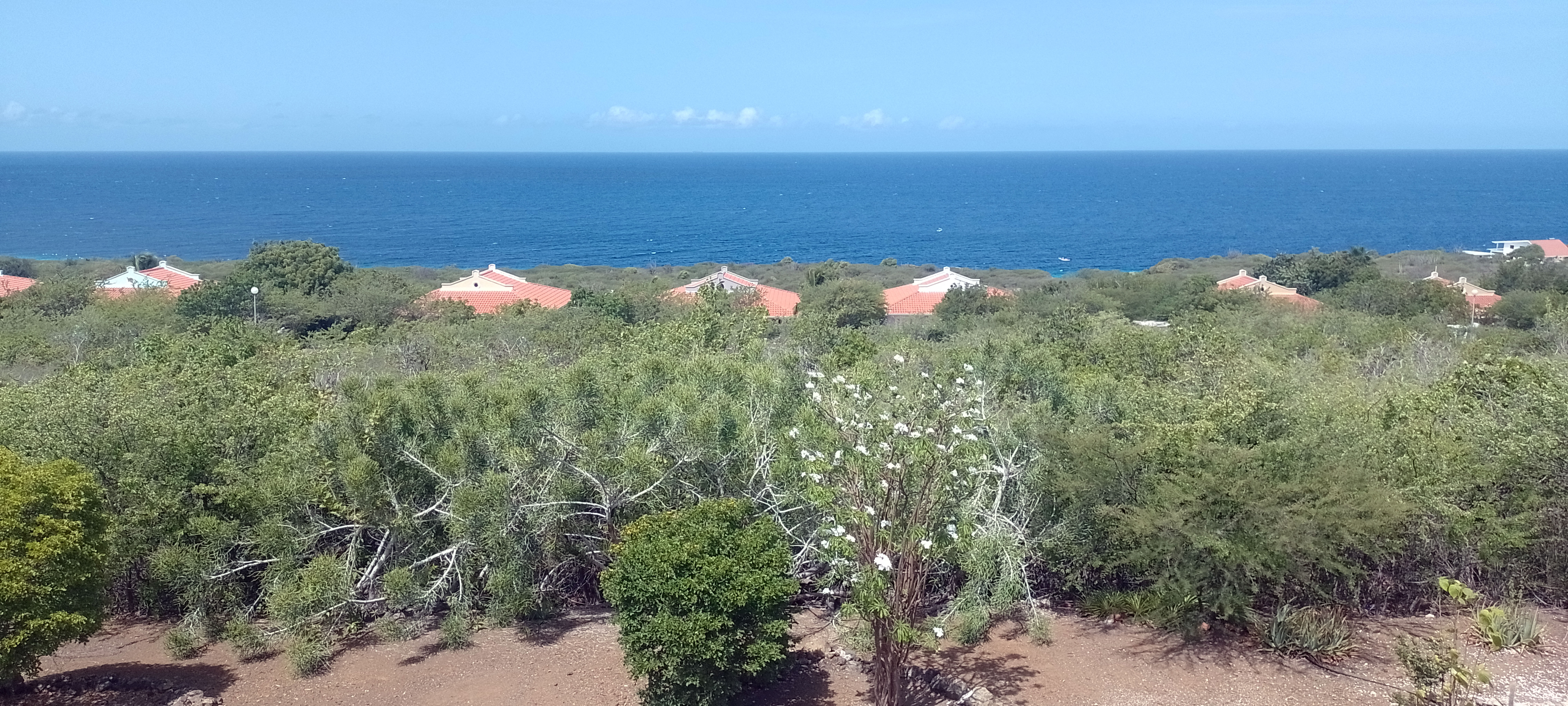 Coral Estate 1042, Rif St Marie, CW, 3 Bedrooms Bedrooms, ,3 BathroomsBathrooms,Residential,For Sale,Coral Estate 1042,1621394