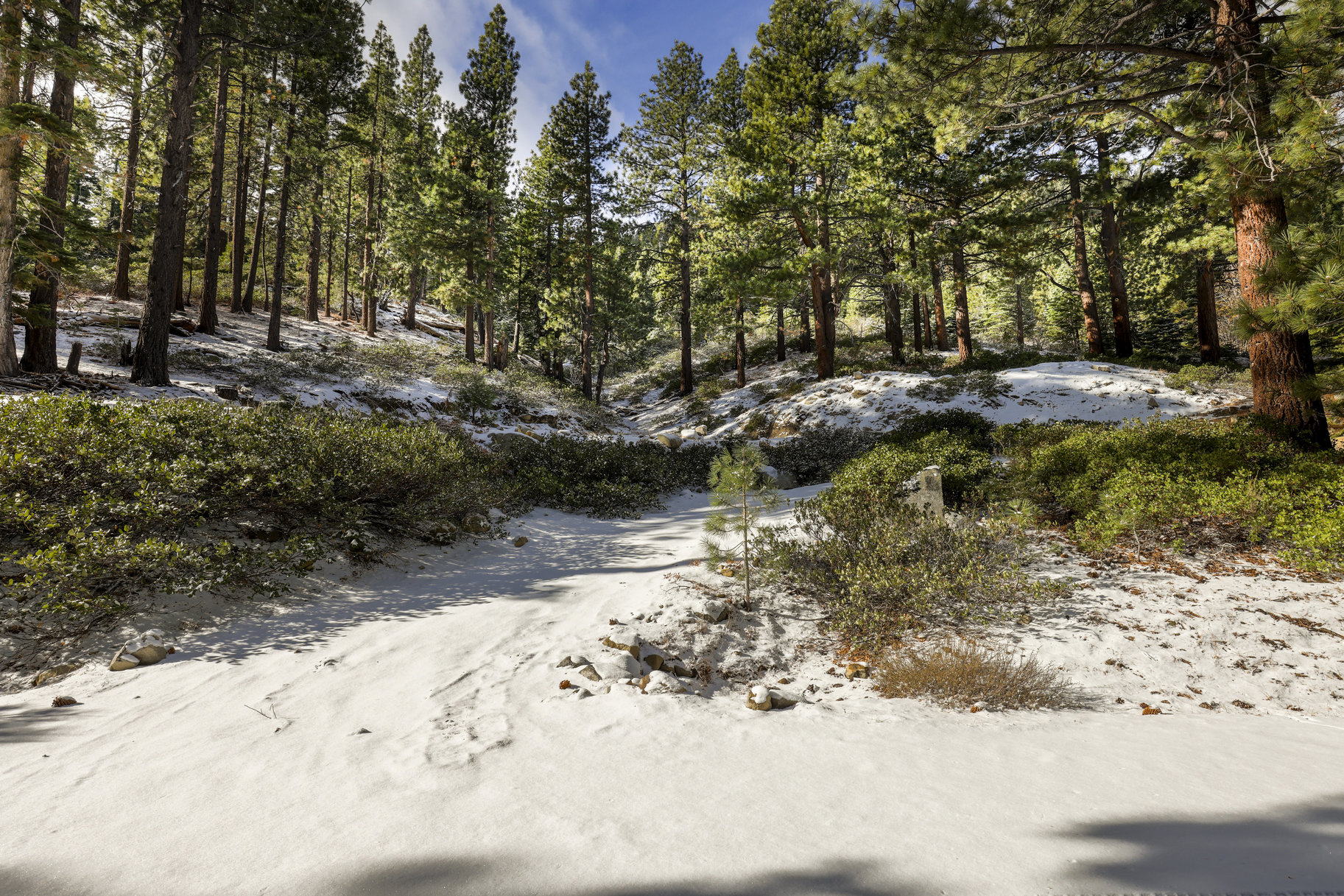  Sierra Sanctuary Lodge on 40 Acres - 物件實景