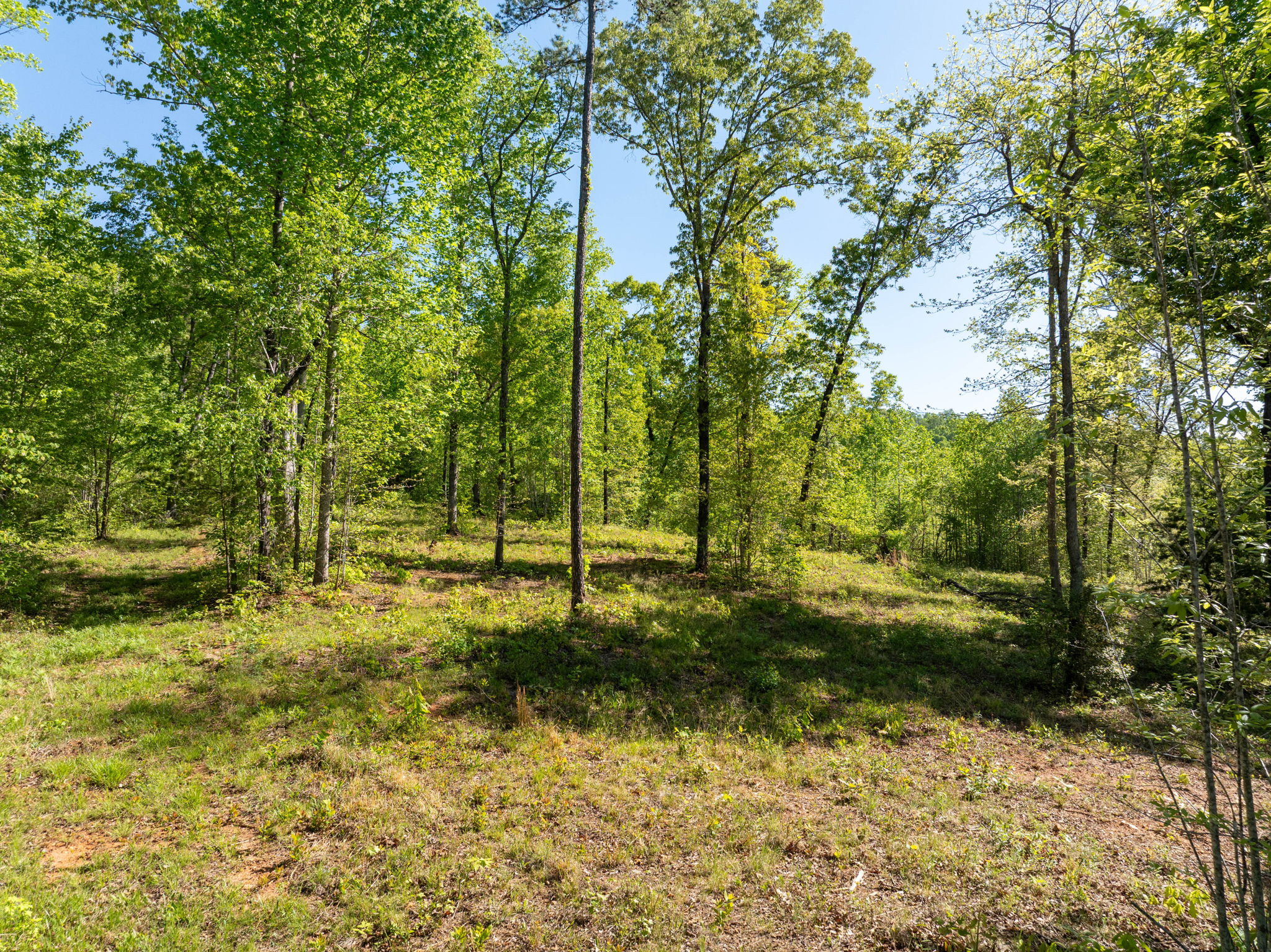  118 Harris Road, Pickens, SC 29671 - 物件實景