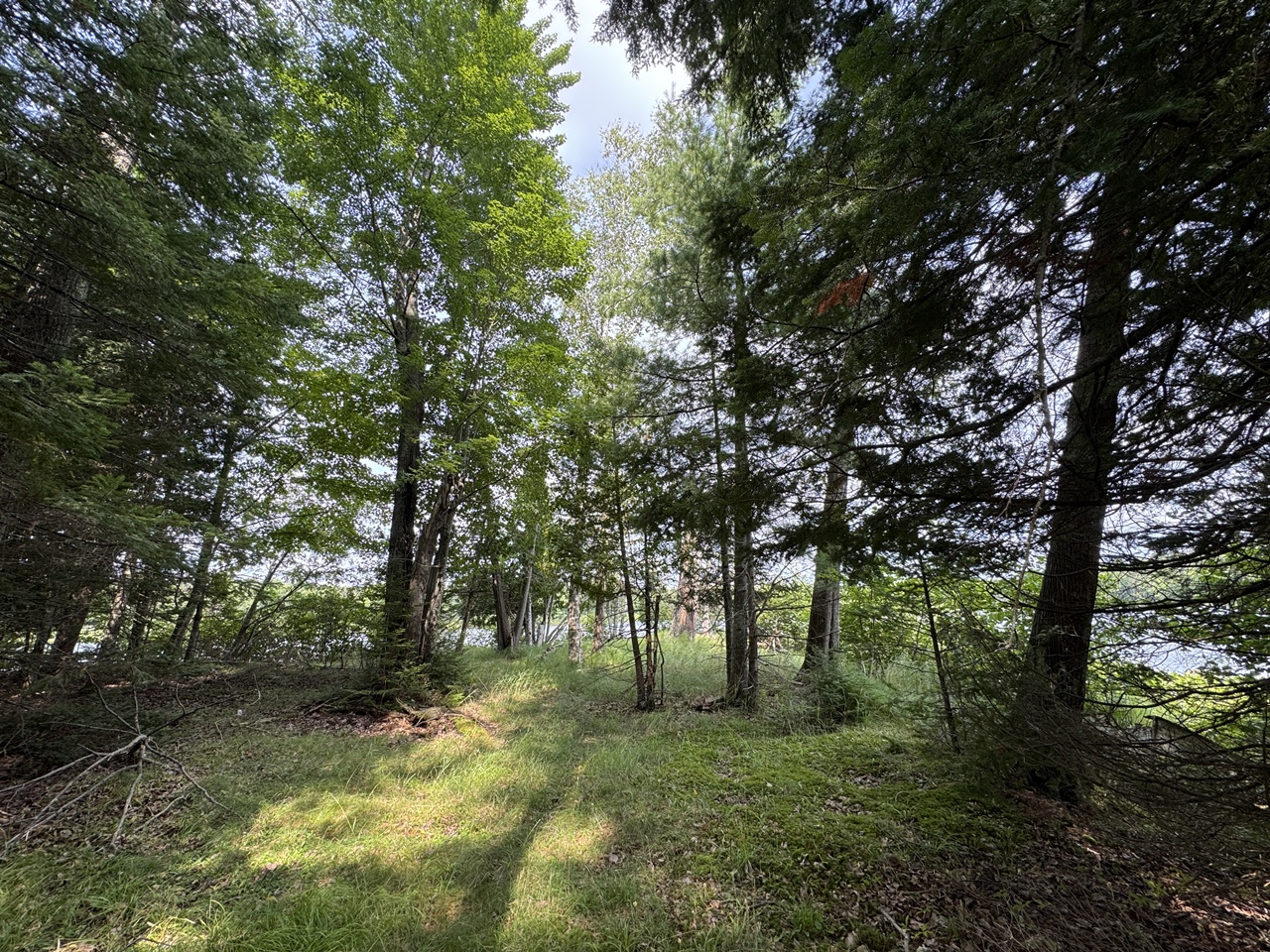 Mercer, Wisconsin, 54547, United States, 3 Bedrooms Bedrooms, ,1 BathroomBathrooms,Residential,For Sale,1974621