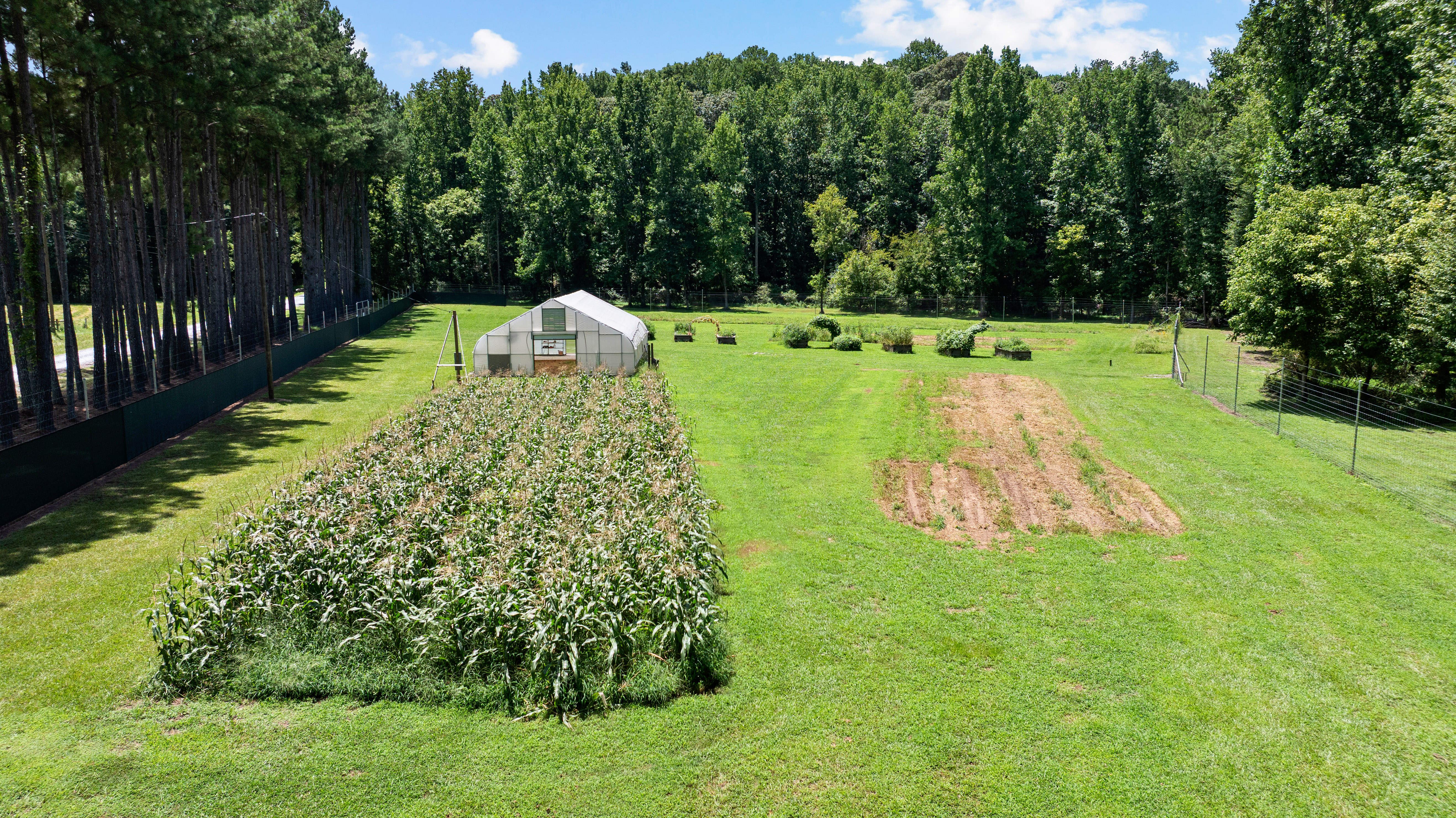  52 +/- Acres of Working Land and Quiet Woods - 物件實景