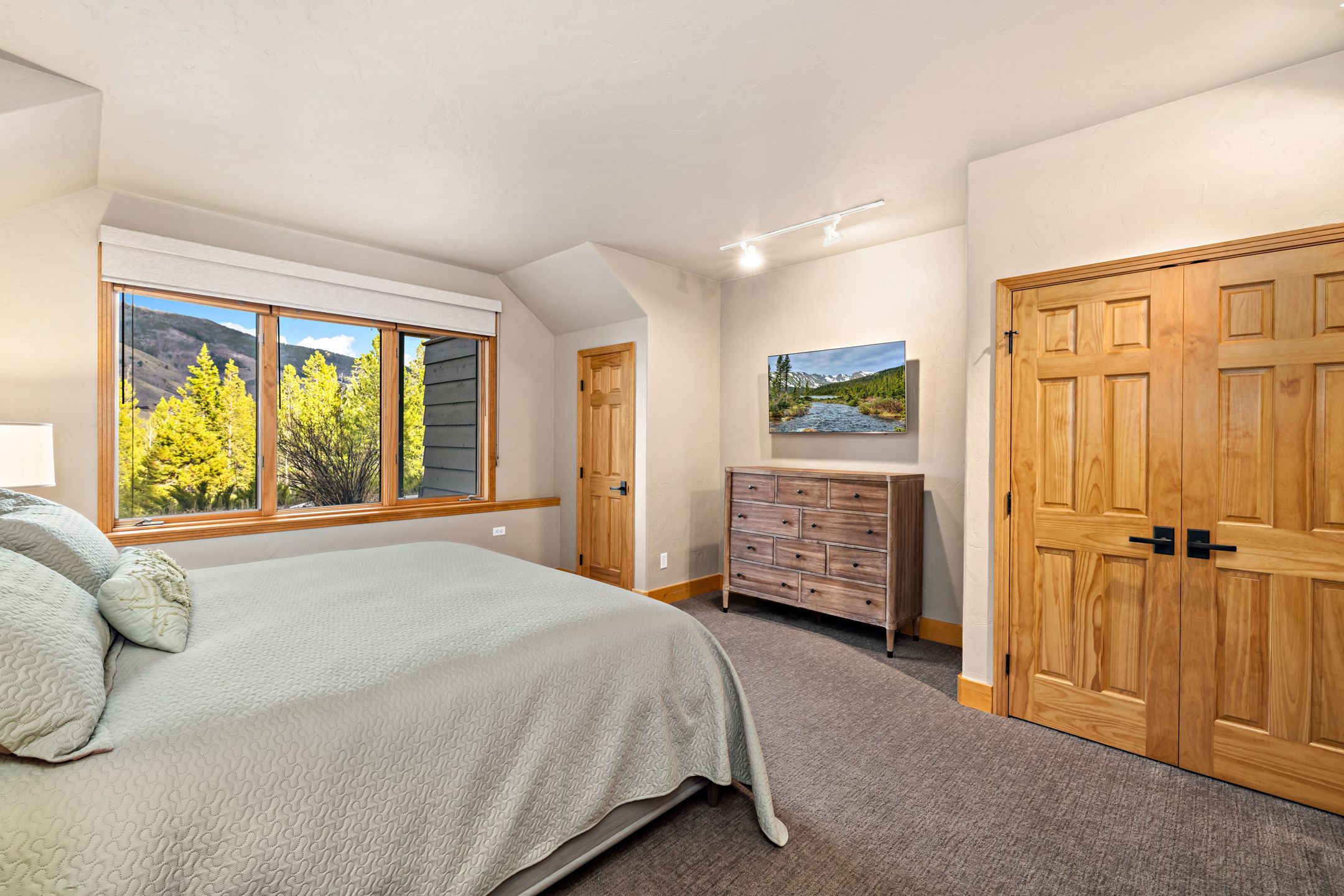  1793 Falcon Drive, Silverthorne, CO, 80498 - 物件實景