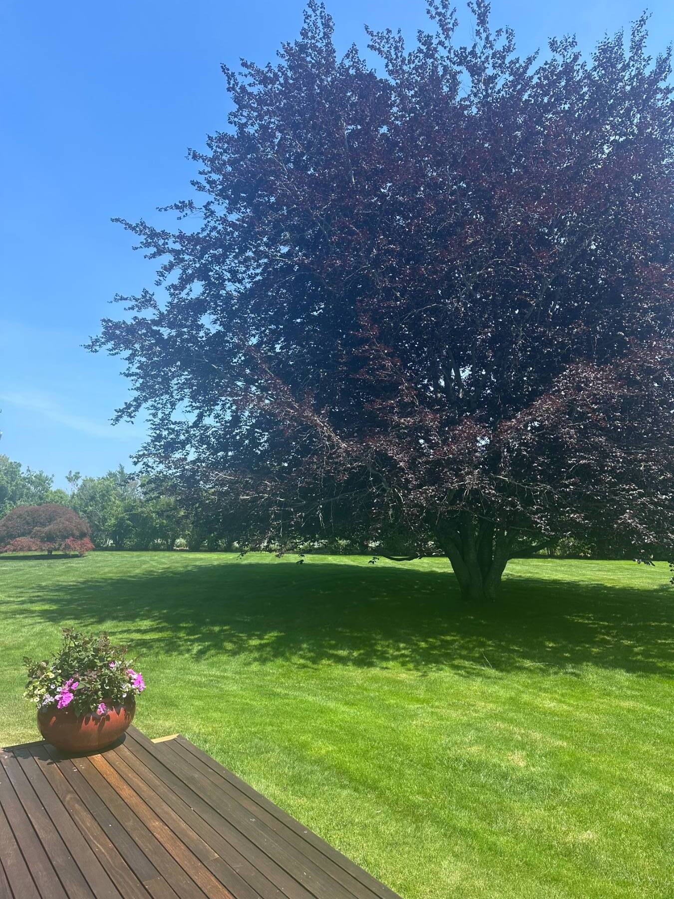  Modern Living in Coveted Bridgehampton South Location - 物件實景