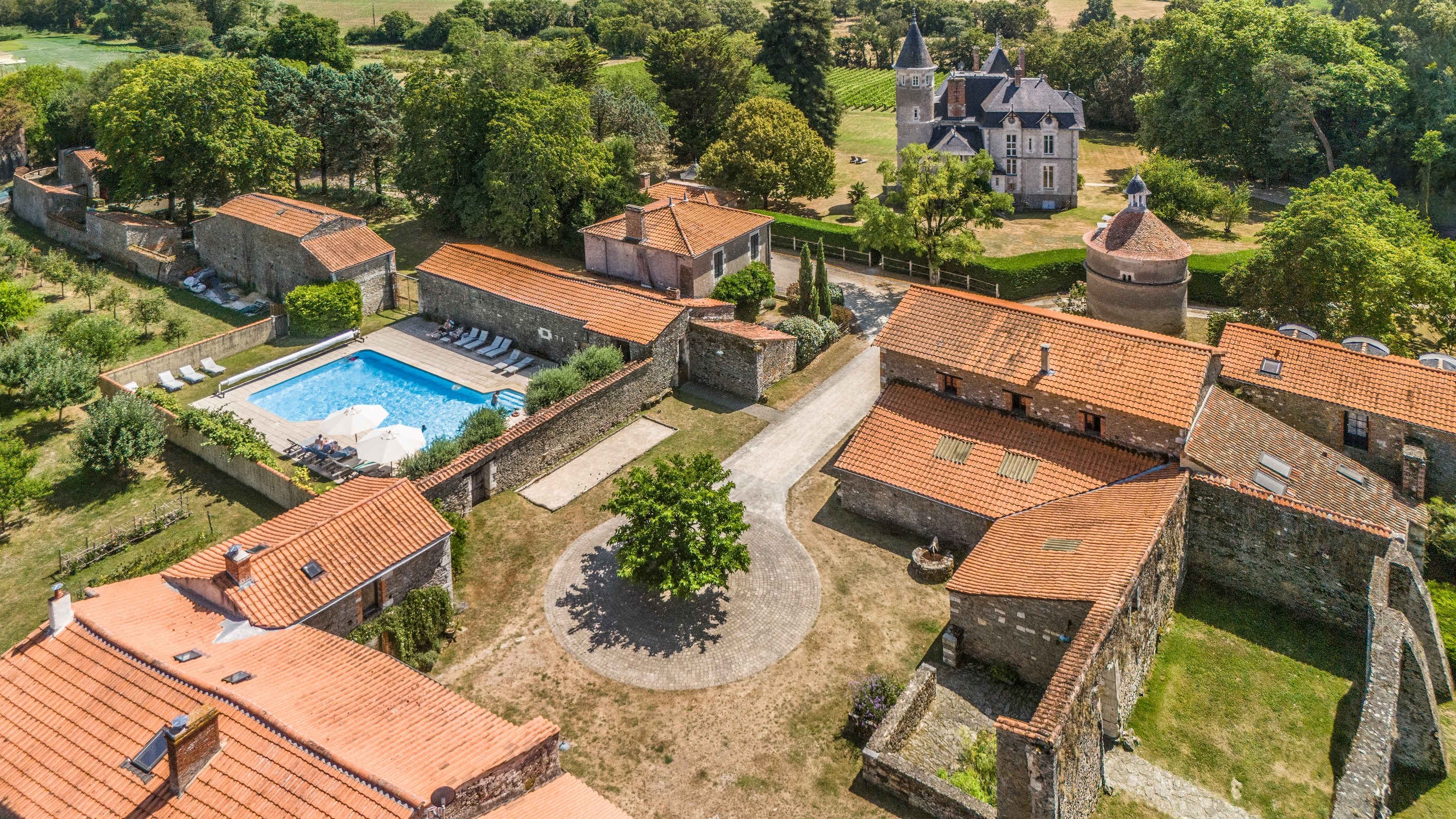  Elegant 19th château with guesthouses and vineyard - 物件實景