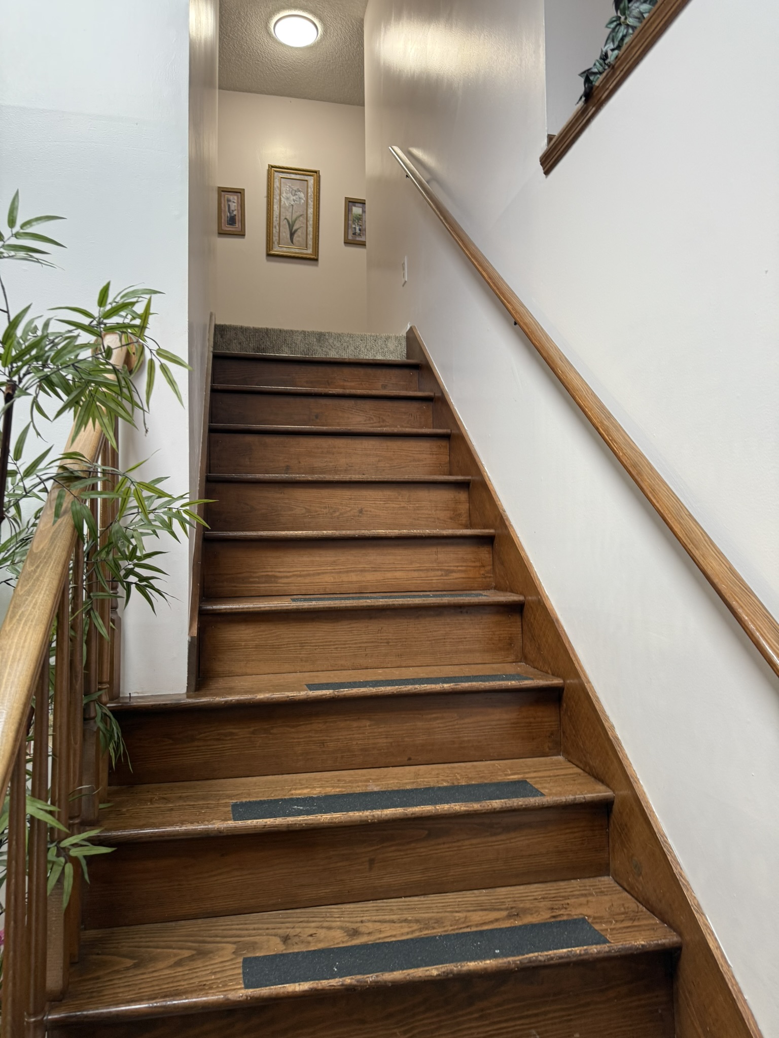 Cleveland, Tennessee, 37323, United States, 3 Bedrooms Bedrooms, ,3 BathroomsBathrooms,Residential,For Sale,1979850