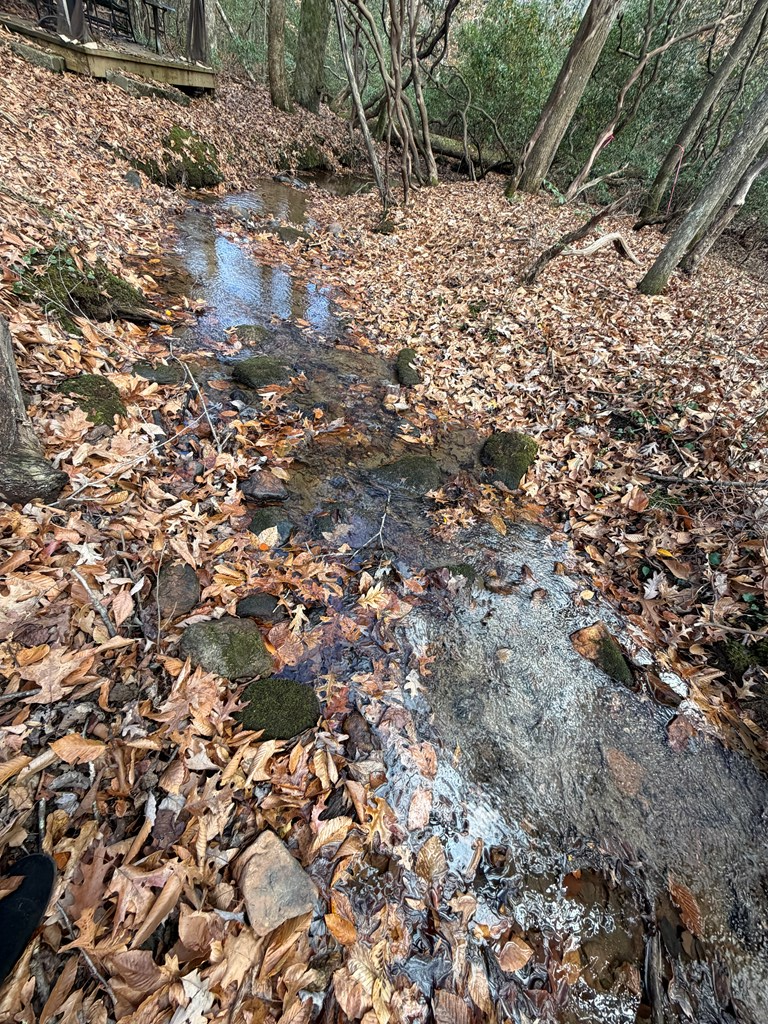 Blue Ridge, Georgia, 30513, United States, 3 Bedrooms Bedrooms, ,3 BathroomsBathrooms,Residential,For Sale,1995238