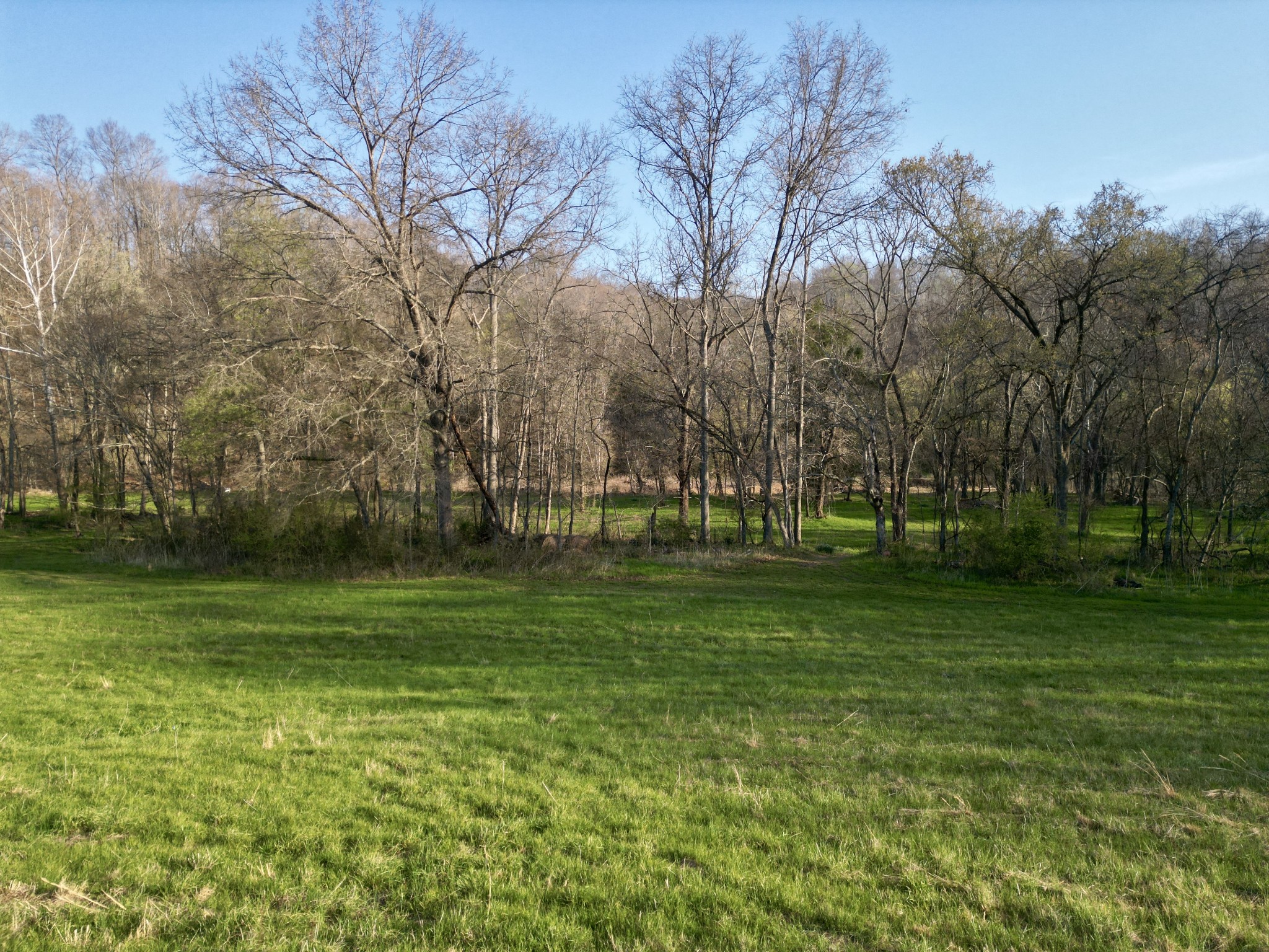  1875 New Hope Rd, Joelton, TN, 37080 - 物件實景