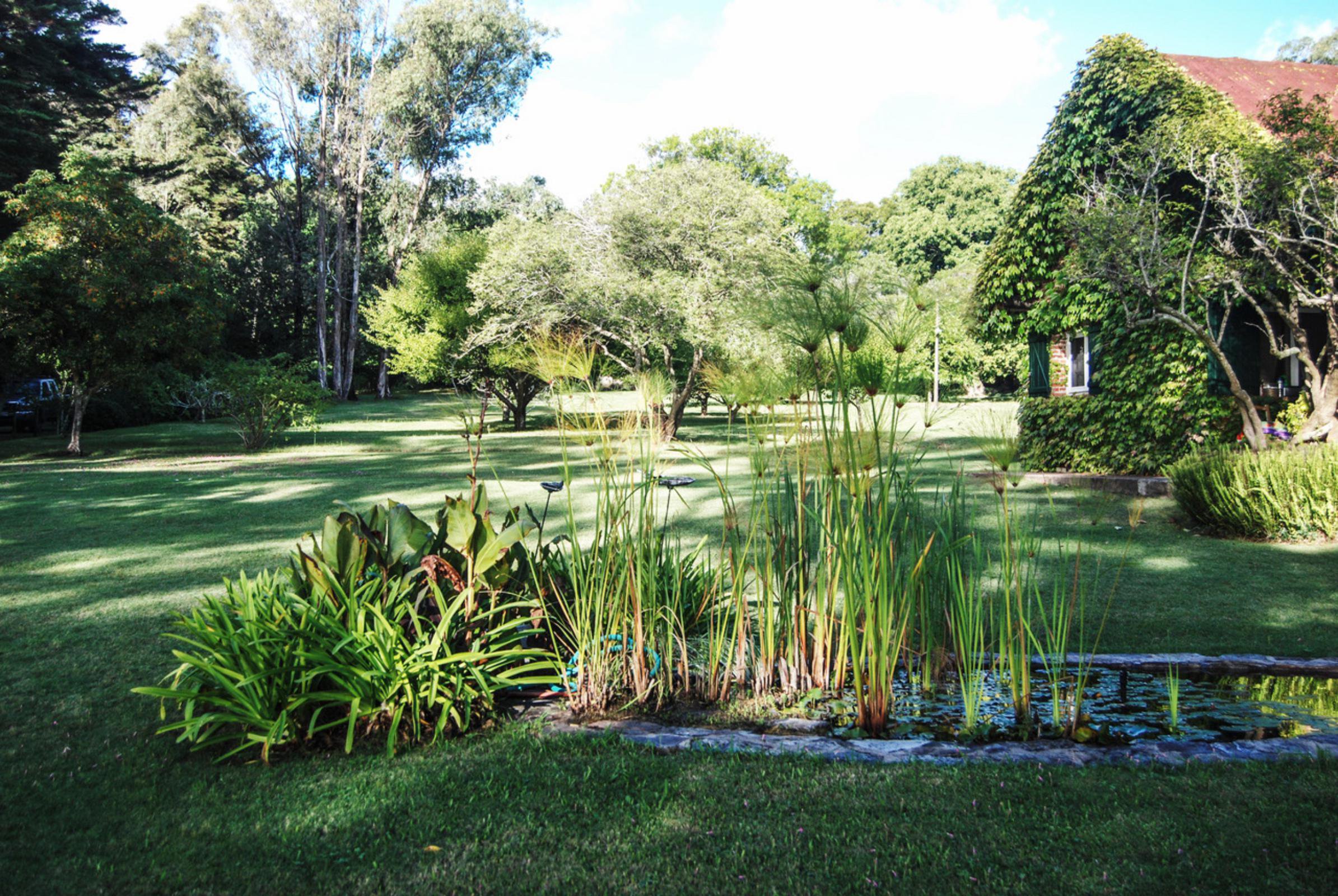  4,4 ha farm in Laguna del Sauce - 物件實景