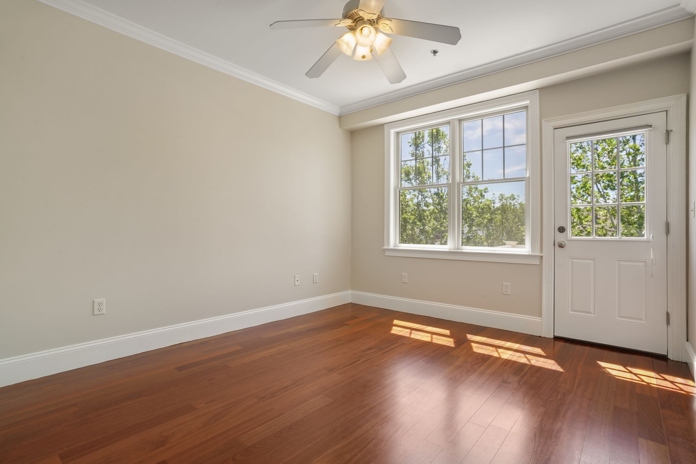  87 Dix St, Boston, MA, 02122 - 物件實景