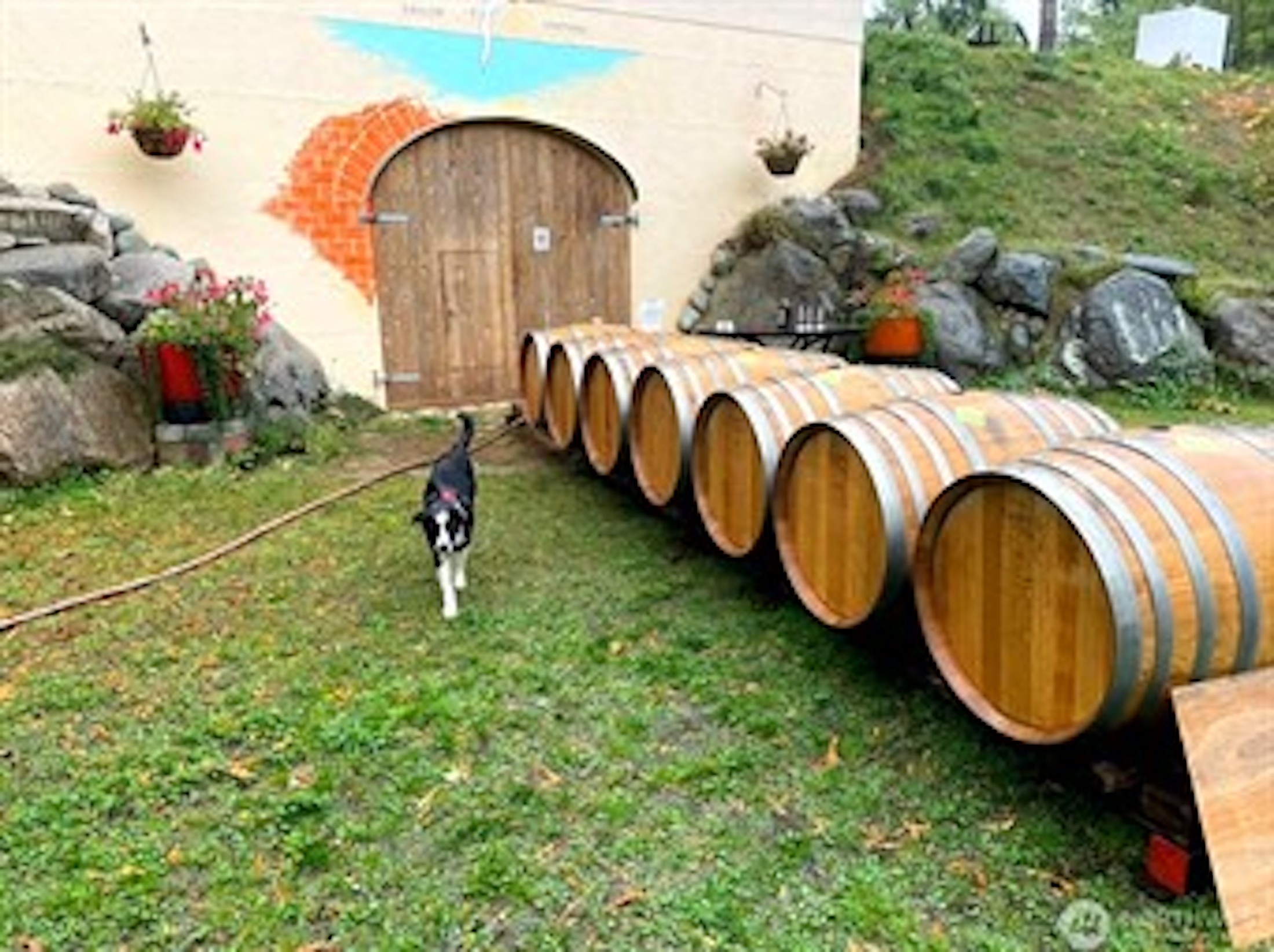  Welcome to Sailor Vineyard - 物件實景