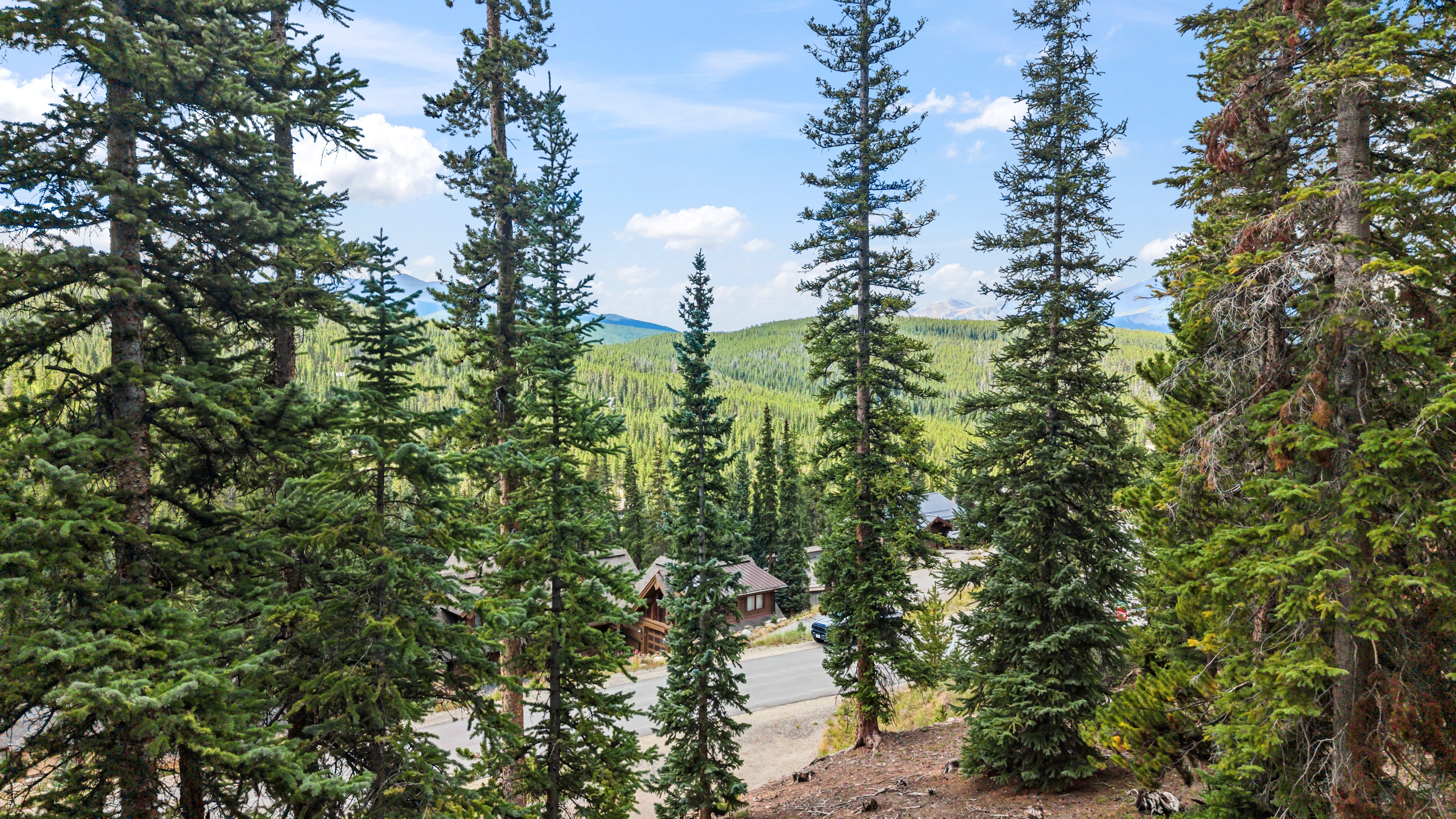  Set in the Desirable Goldenview Neighborhood of Breckenridge - 物件實景