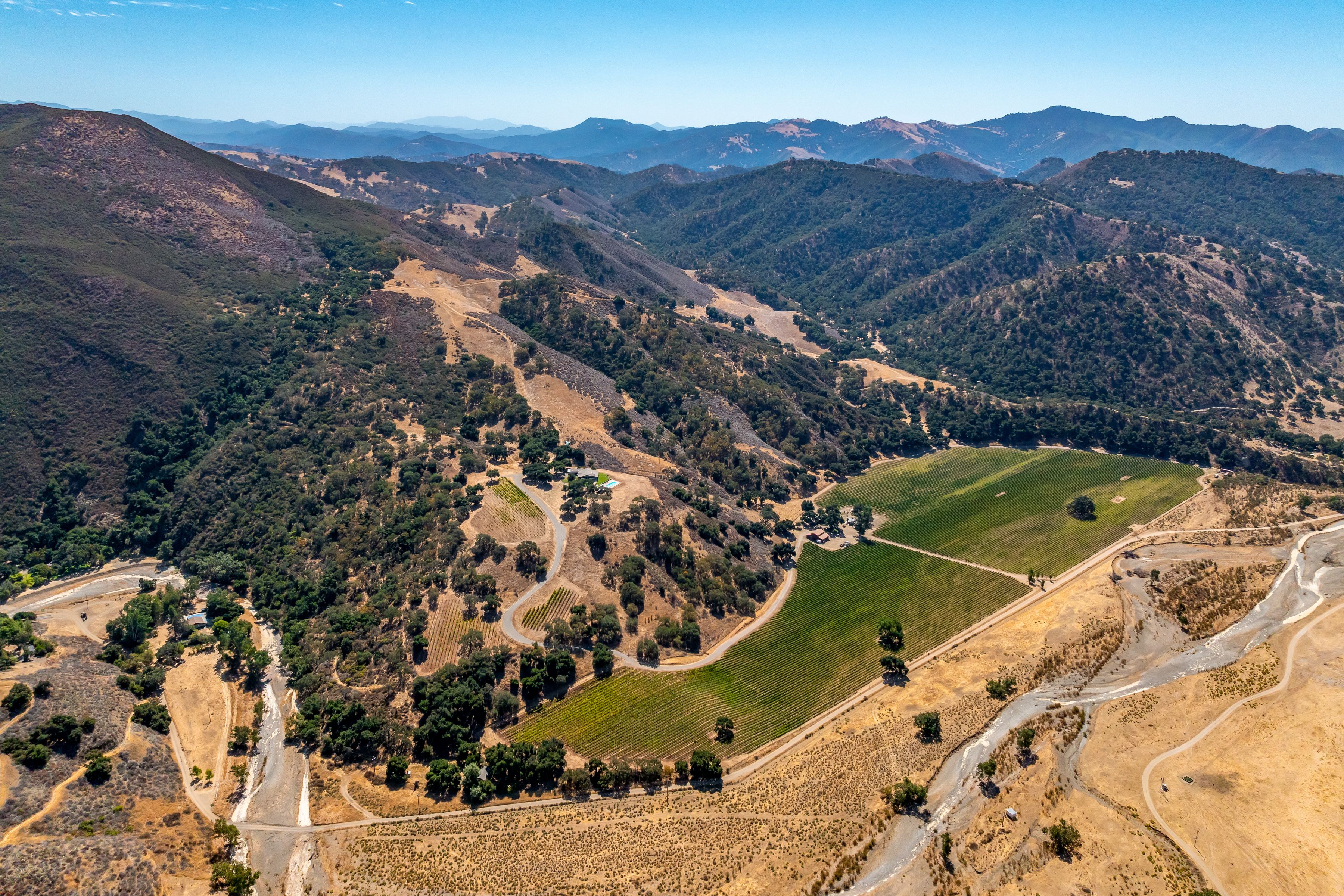  Extraordinary Vineyard Estate - 物件實景