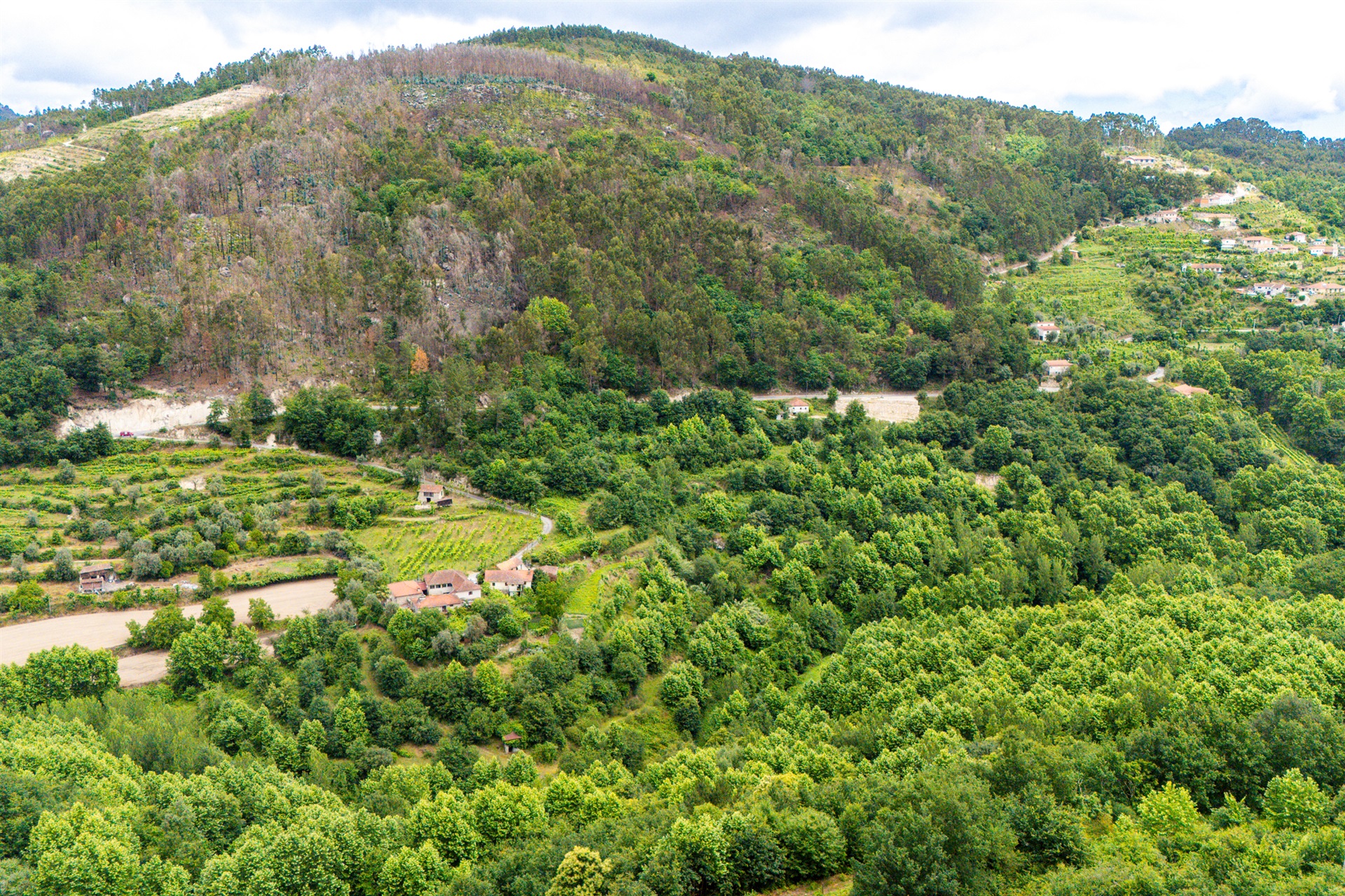  Farm, 3 bedrooms, for Sale - 物件實景