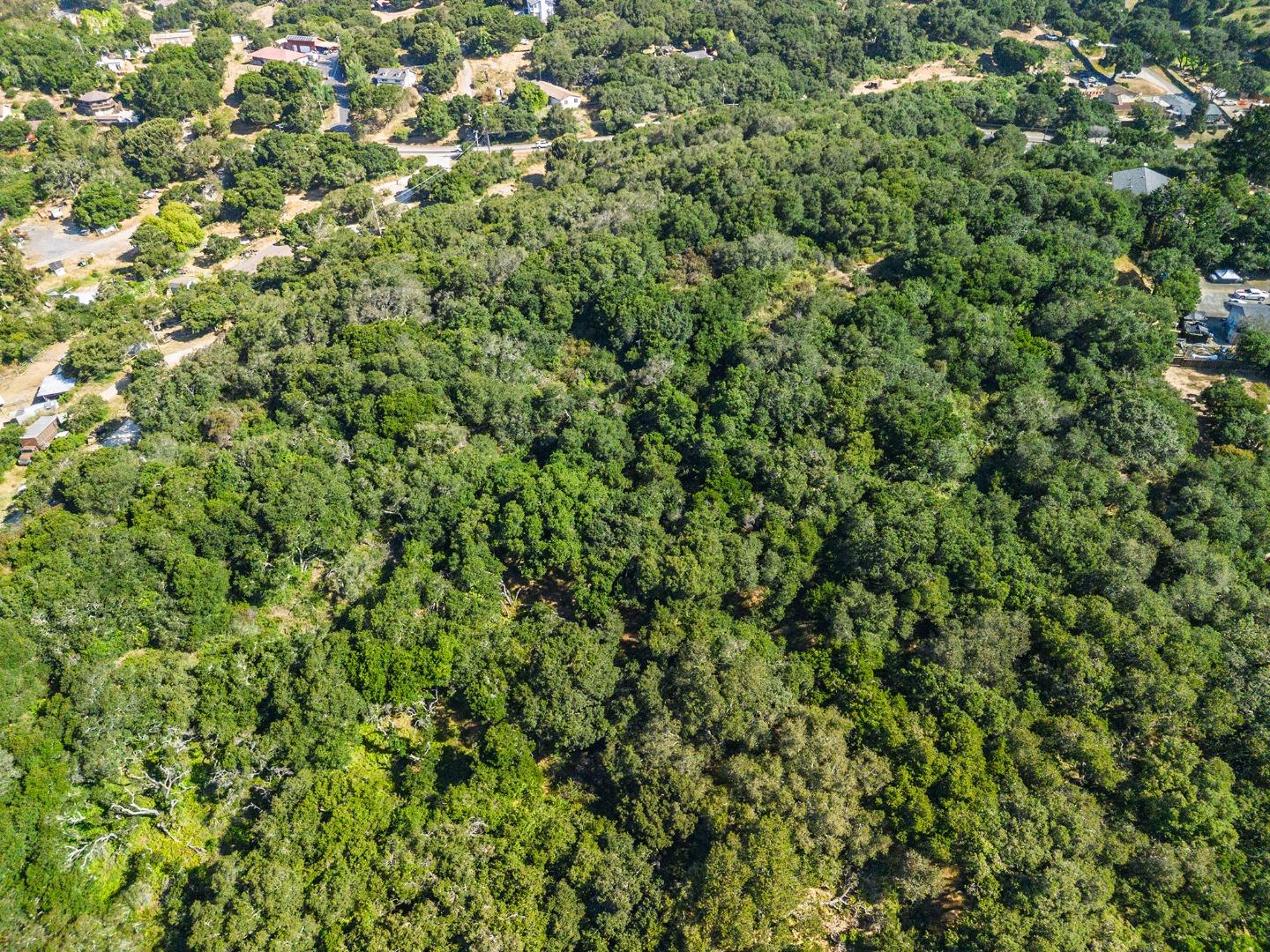 Salinas, California, 93907, United States, ,Land,For Sale,1827358