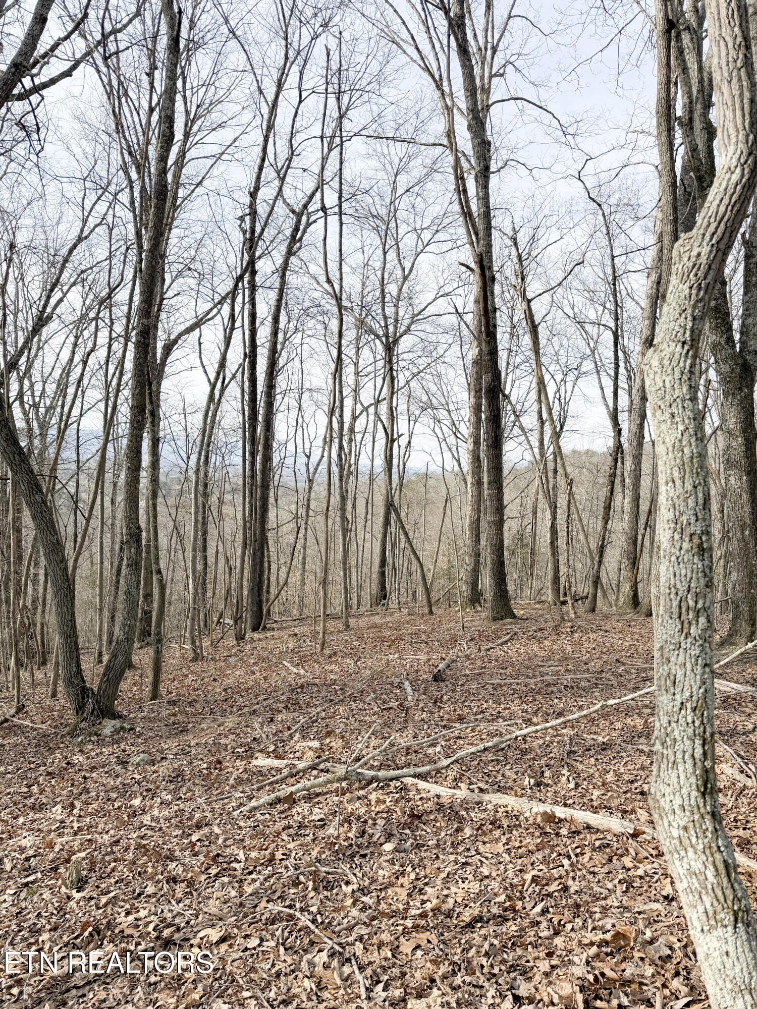 Pikeville, Tennessee, 37367, United States, ,Land,For Sale,1975616