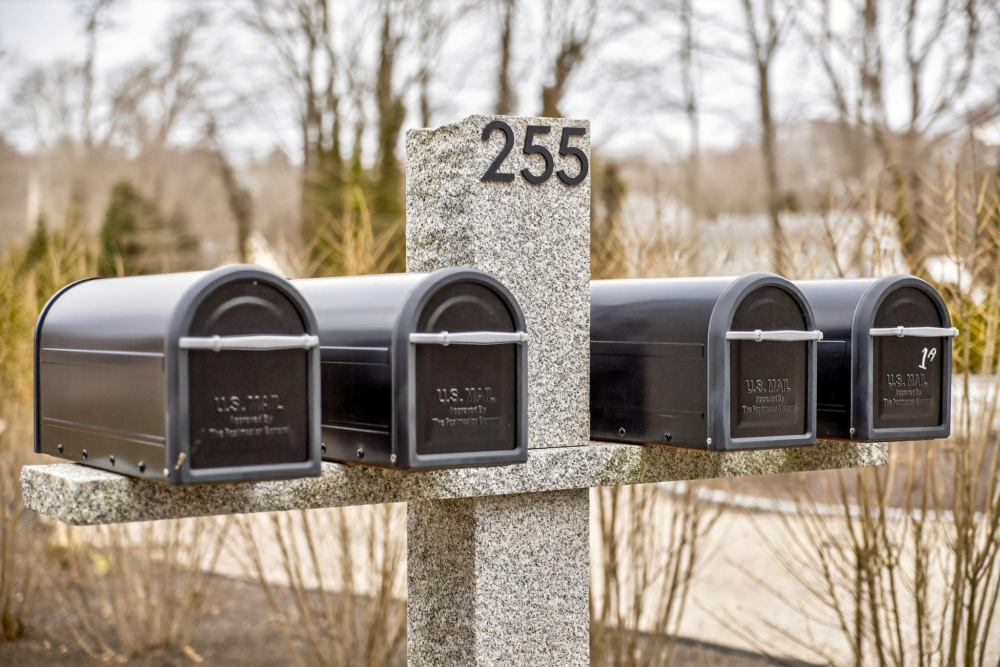  255 Old Main Road 2B - 物件實景